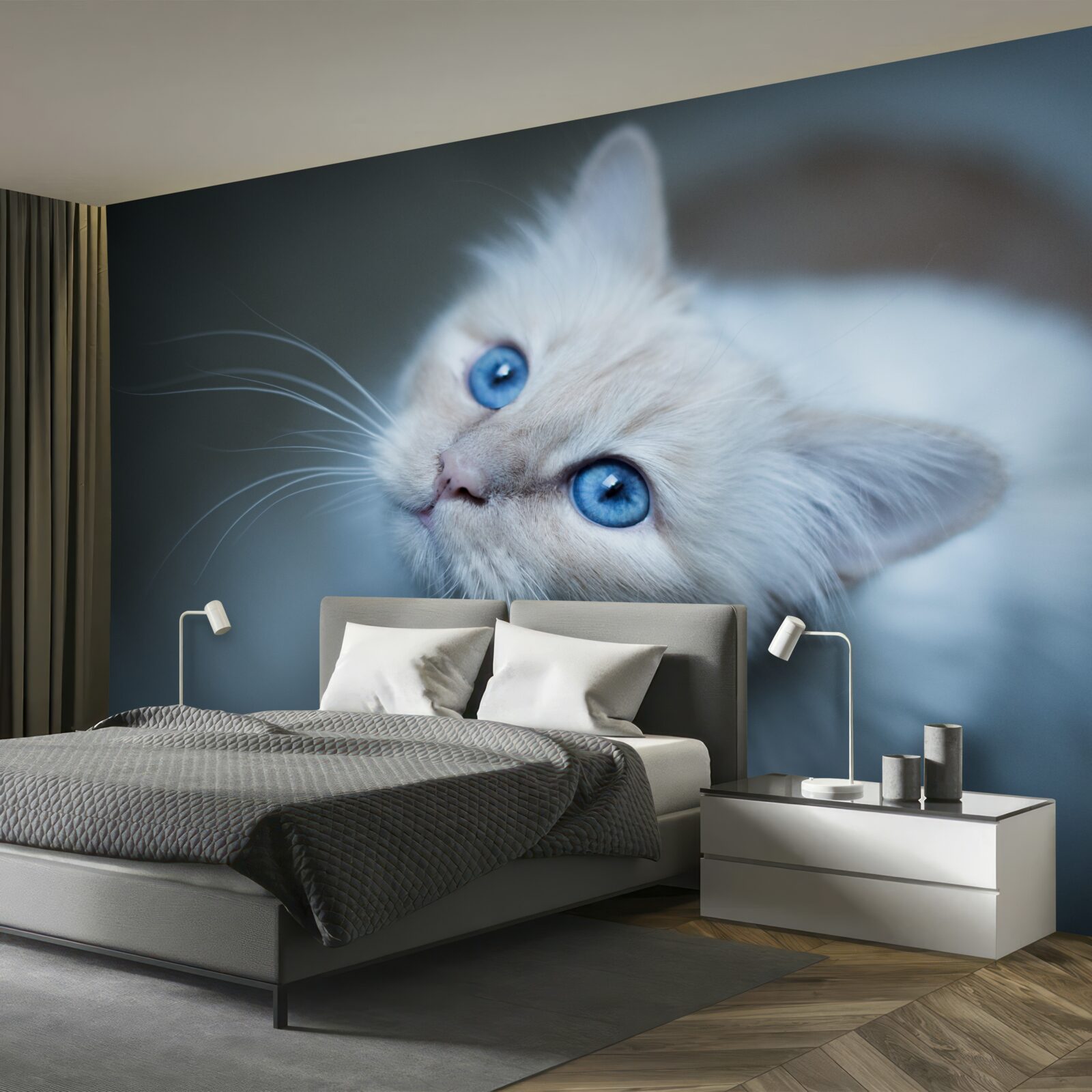 Fotobehang kitten met witte vacht en blauwe ogen