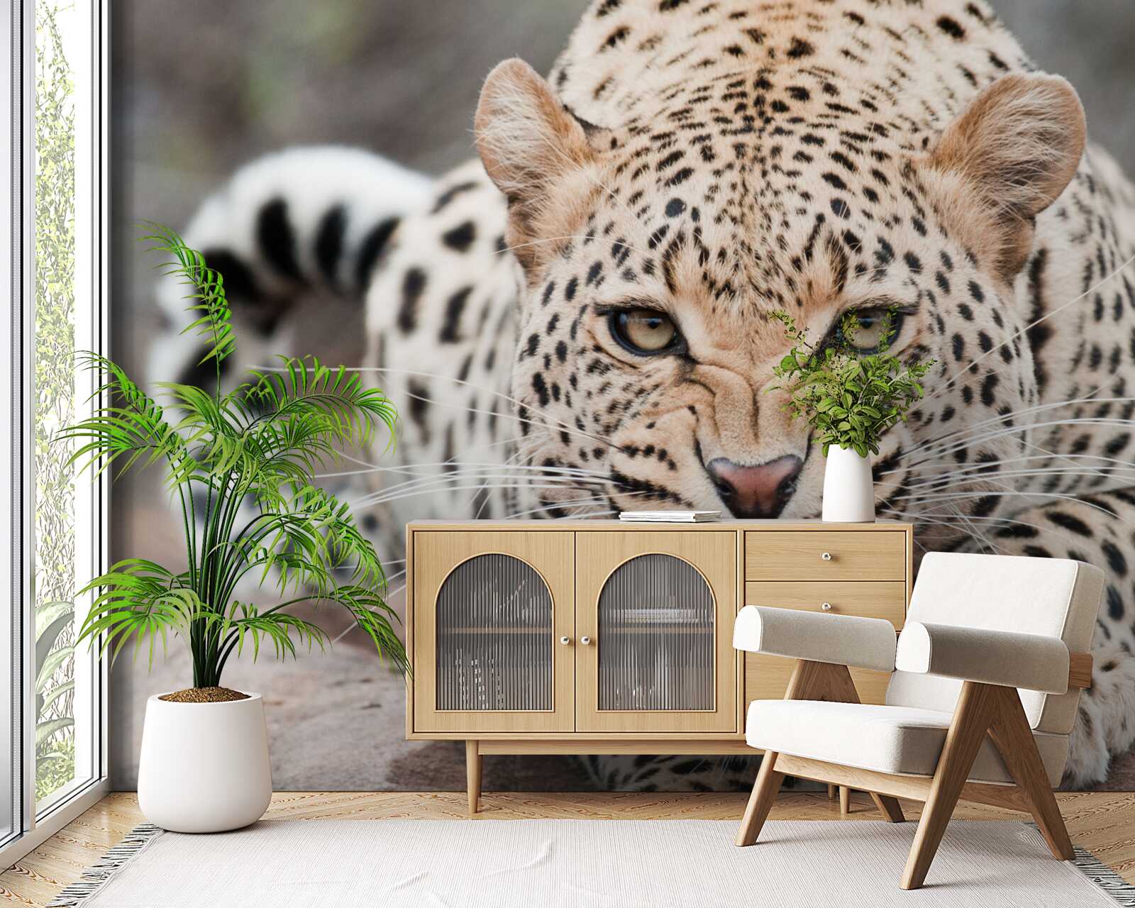 Fotobehang luipaard op het punt de sprong te wagen