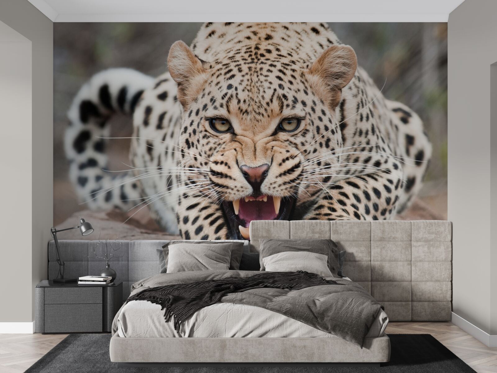 Fotobehang luipaard op het punt de sprong te wagen