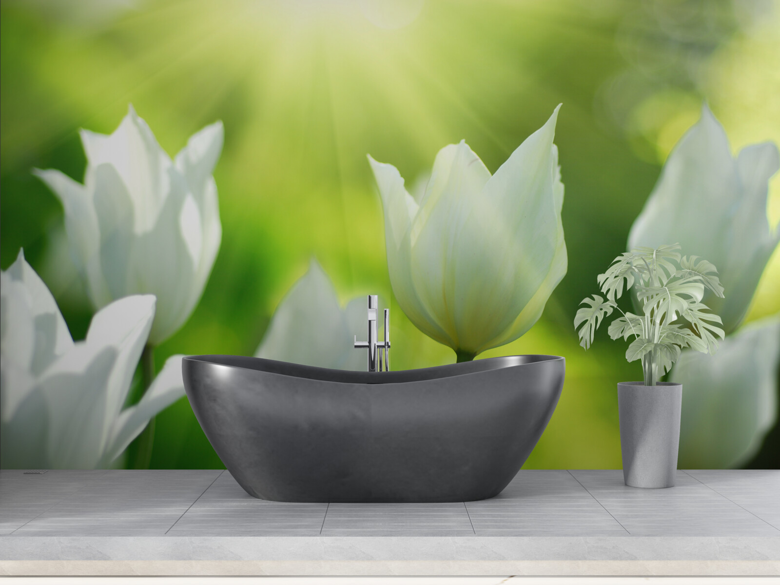 Fotobehang Sneeuwwitte tulpen onder de zon