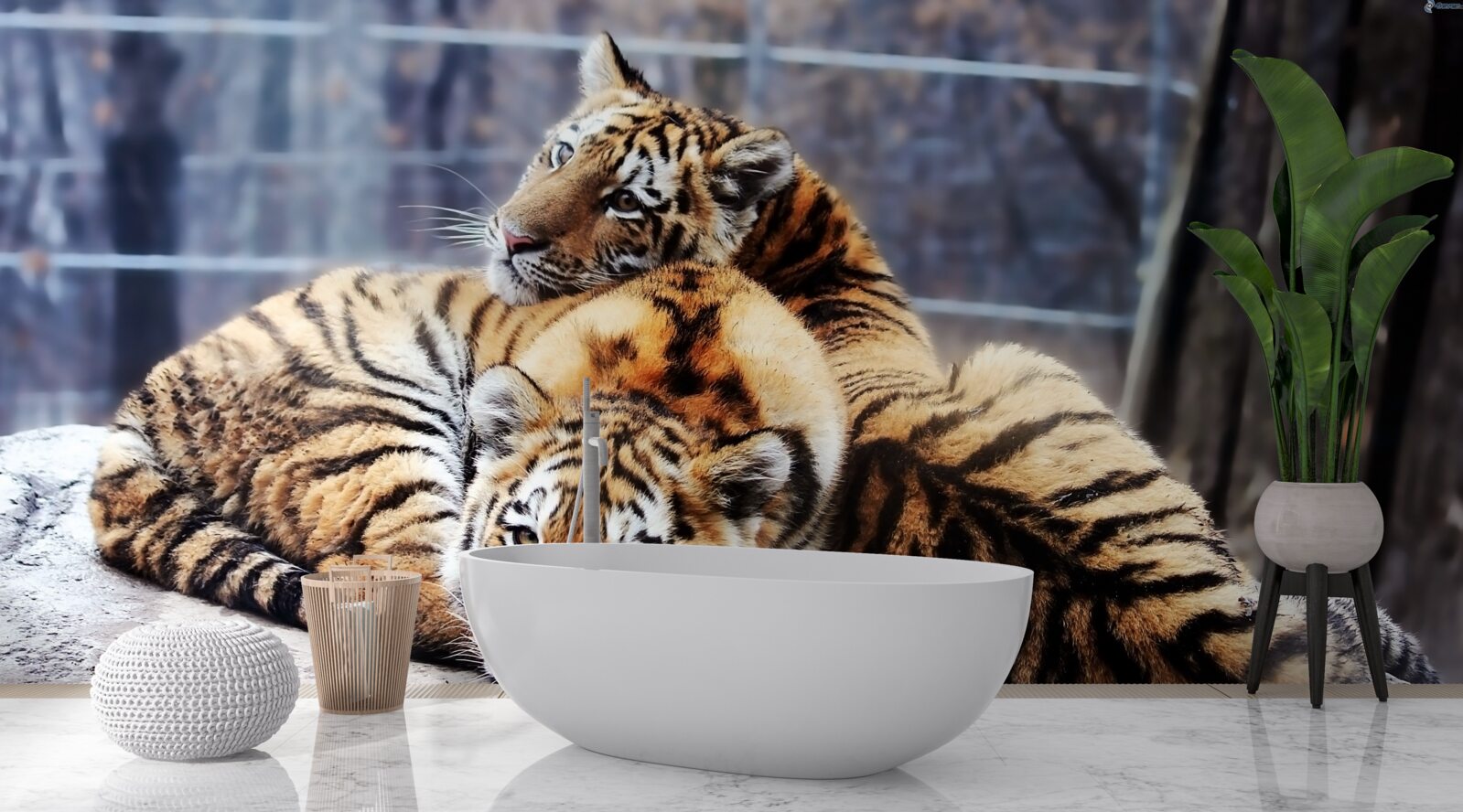 Fotobehang Slapende tijgers hebben schoonheid