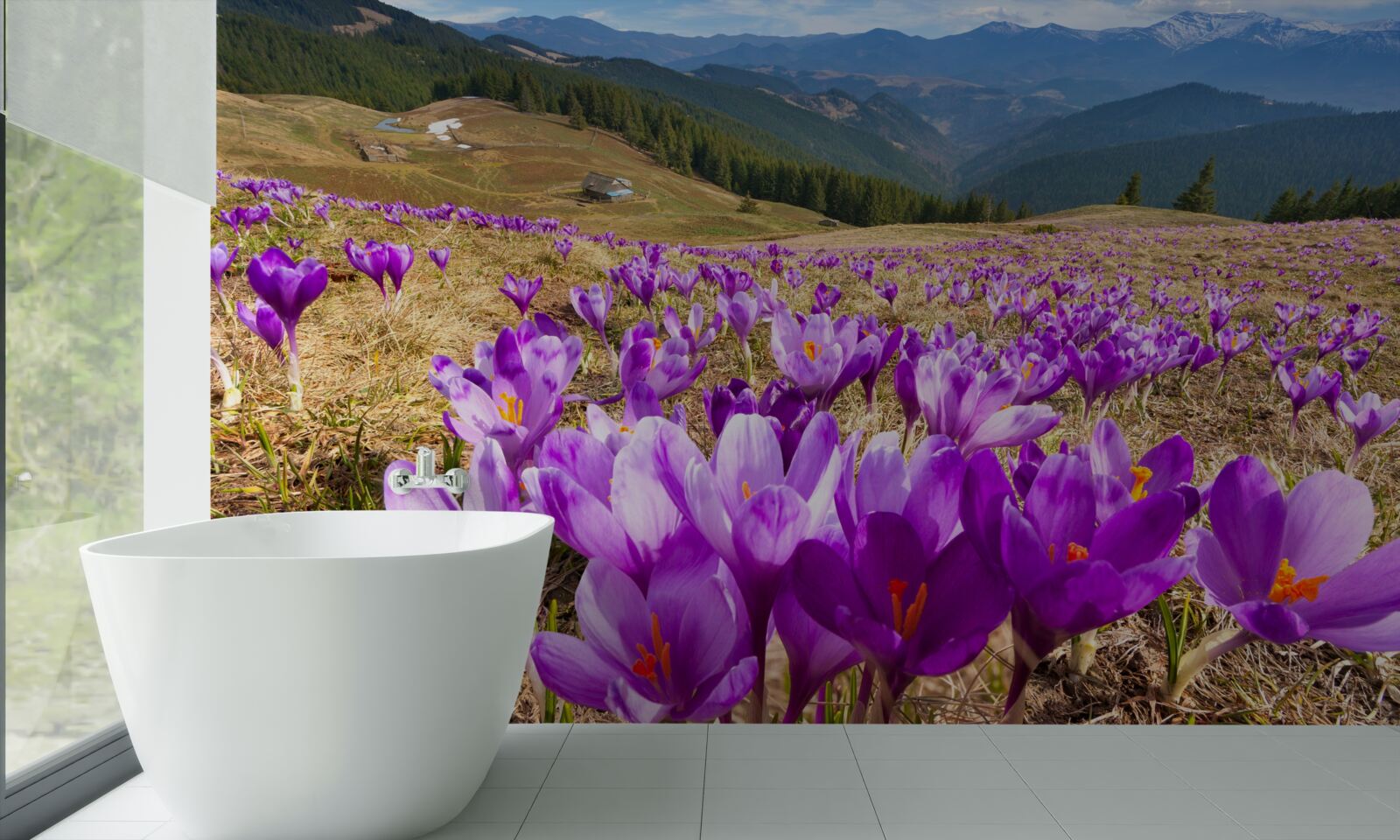 Fotobehang bergkrokussen zijn paars