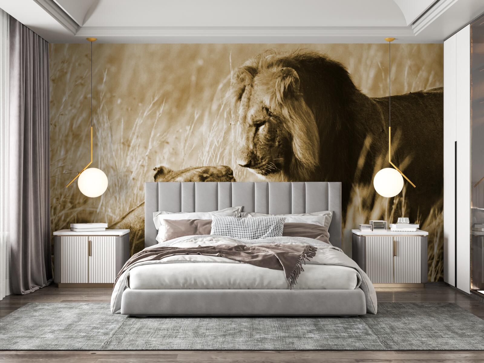 Fotobehang leeuw en leeuwin leren elkaar kennen