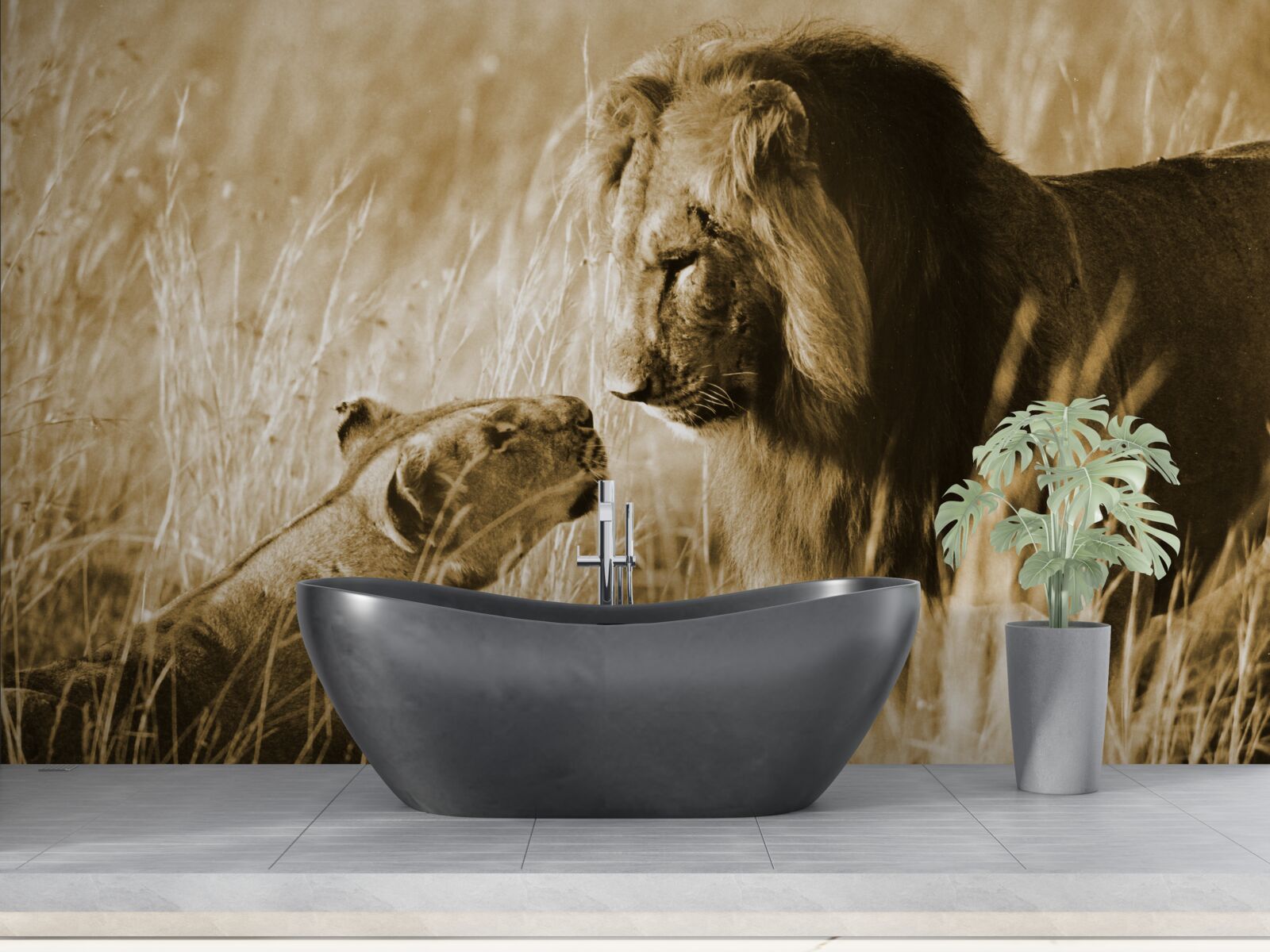 Fotobehang leeuw en leeuwin leren elkaar kennen