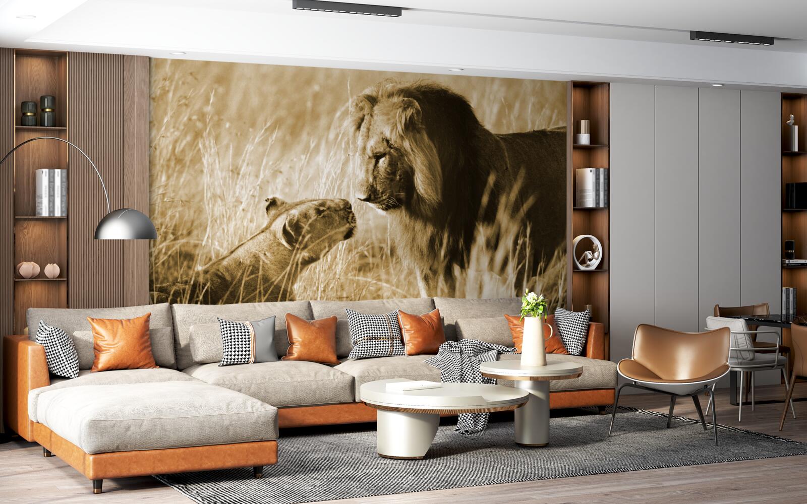 Fotobehang leeuw en leeuwin leren elkaar kennen