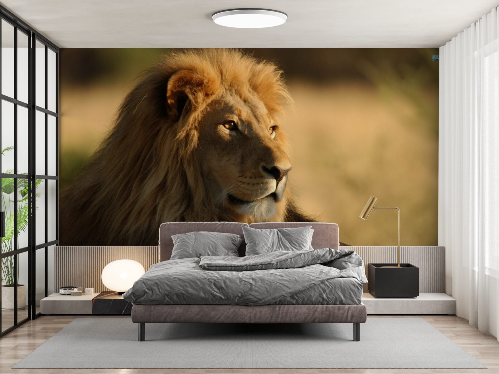 Fotobehang savanne monarch op vakantie