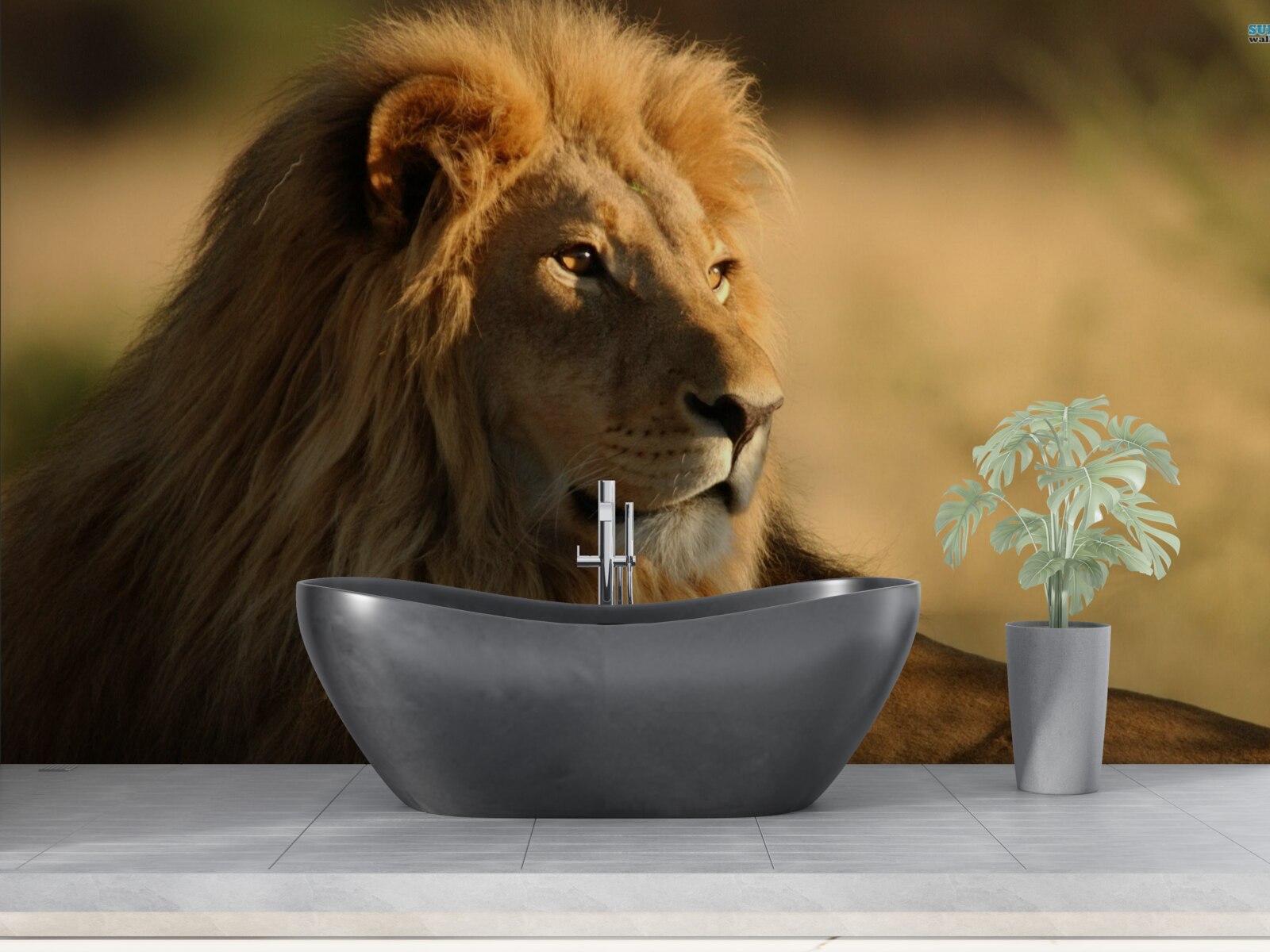 Fotobehang savanne monarch op vakantie