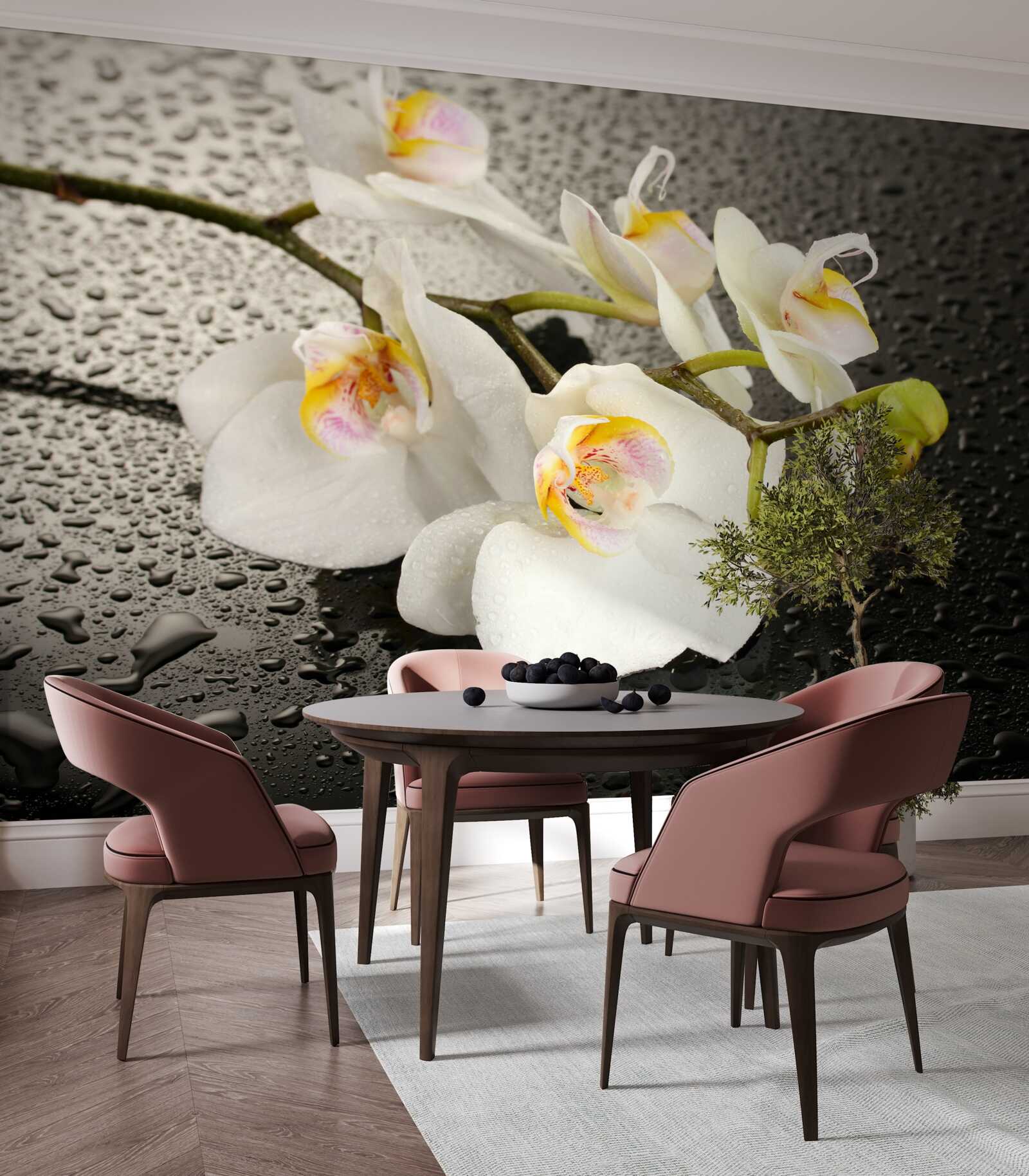 Fotobehang Sneeuwwitte orchidee na hevige regen