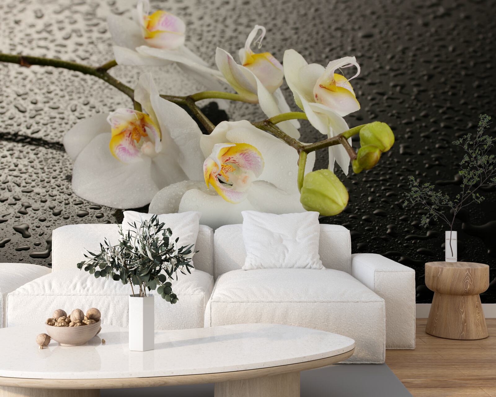 Fotobehang Sneeuwwitte orchidee na hevige regen