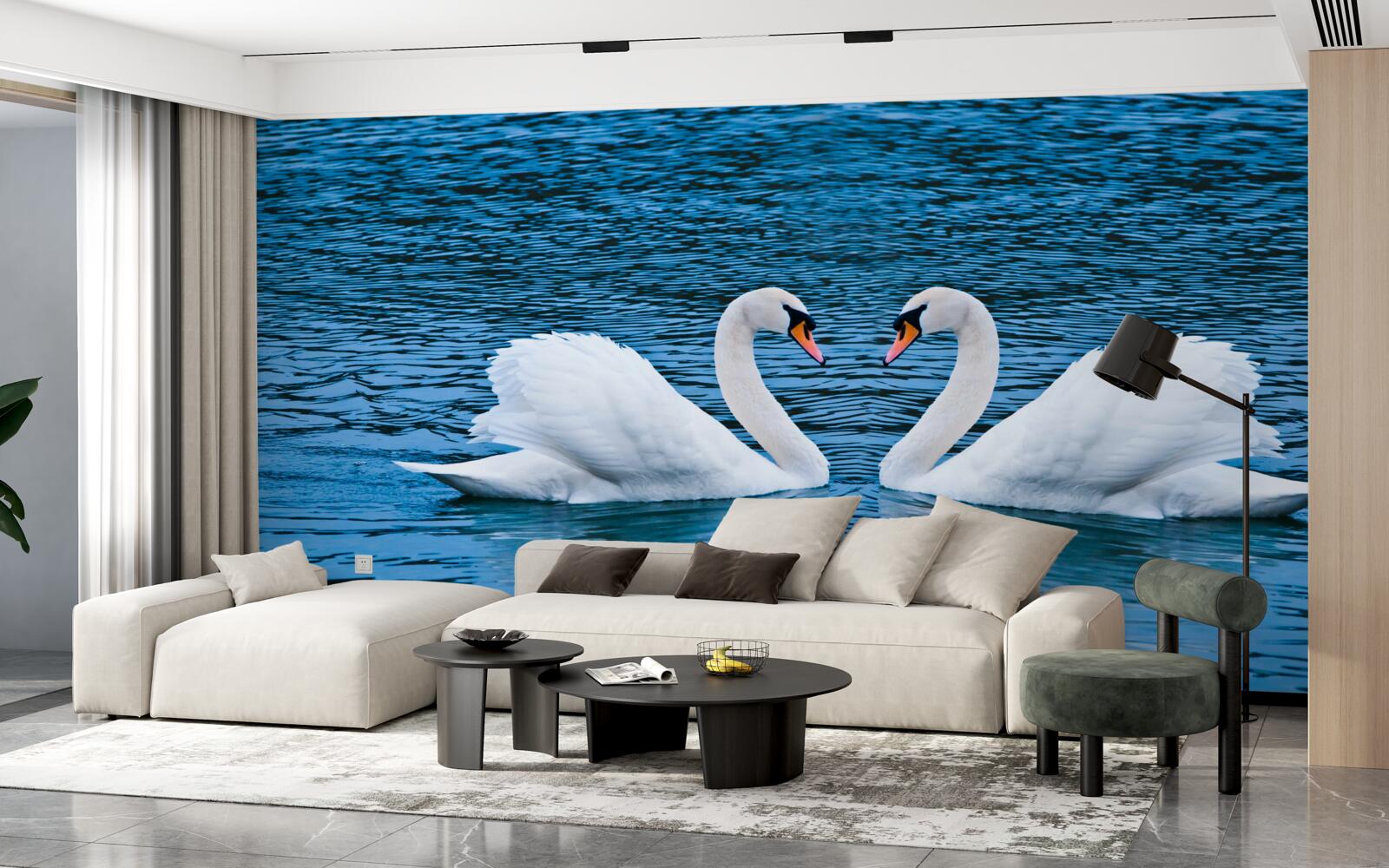 Fotobehang een zwanenpaar op het wateroppervlak creëert een idyllisch familieplaatje