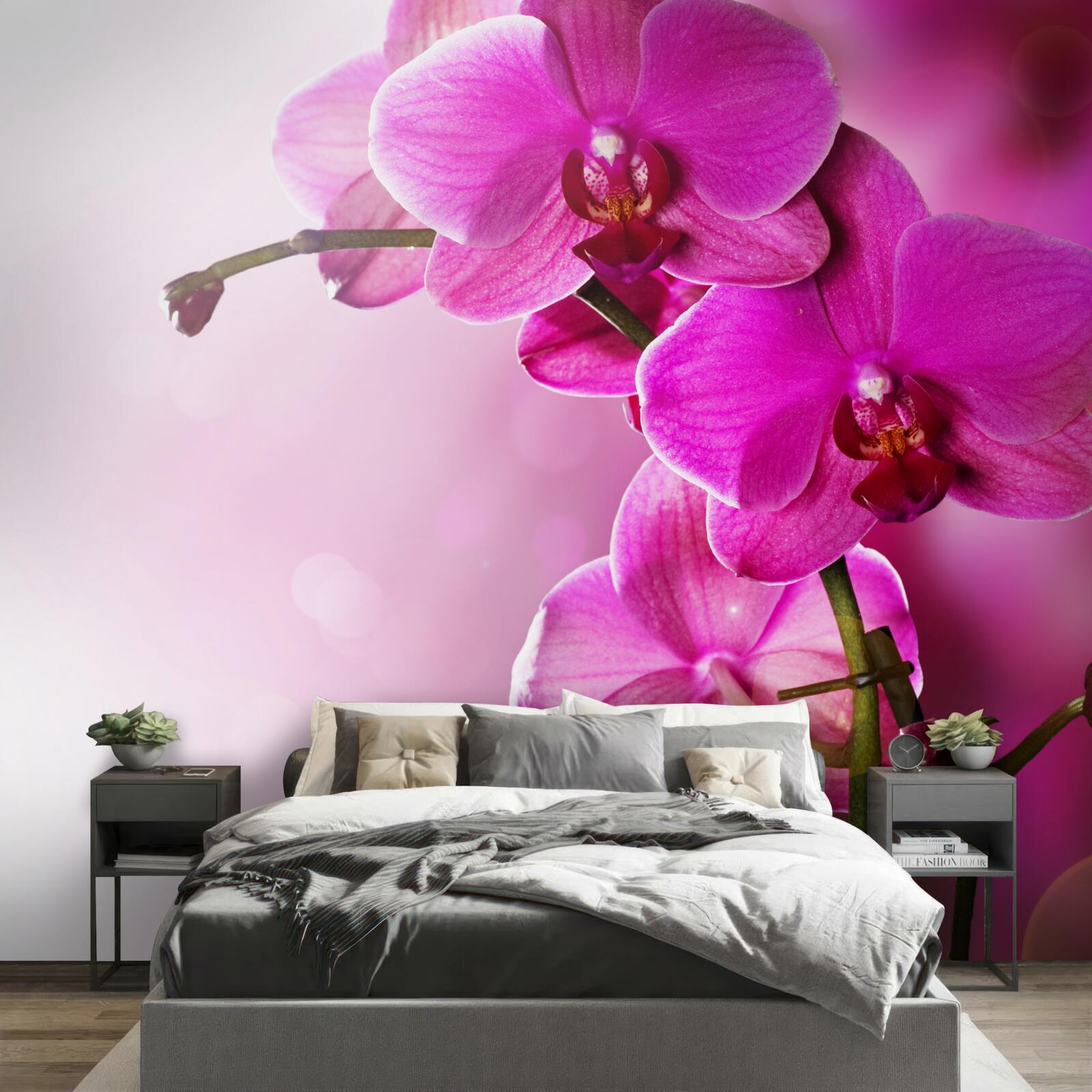 Fotobehang orchideeën en seringknop