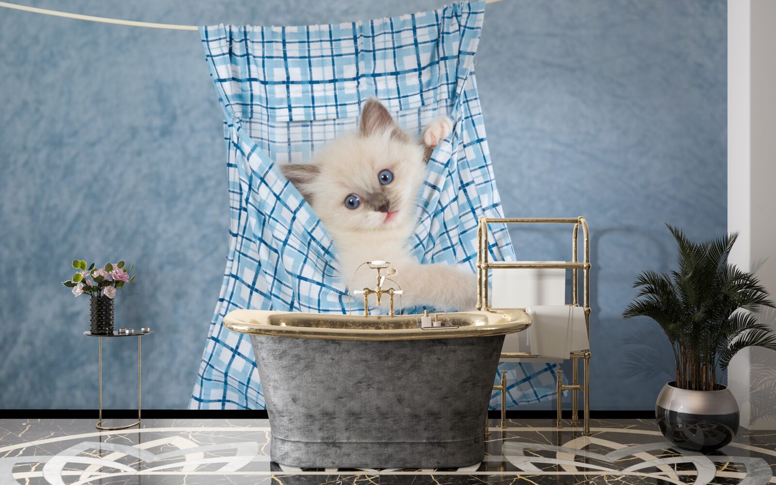 Fotobehang tas bleek een val voor een Siamese kat te zijn