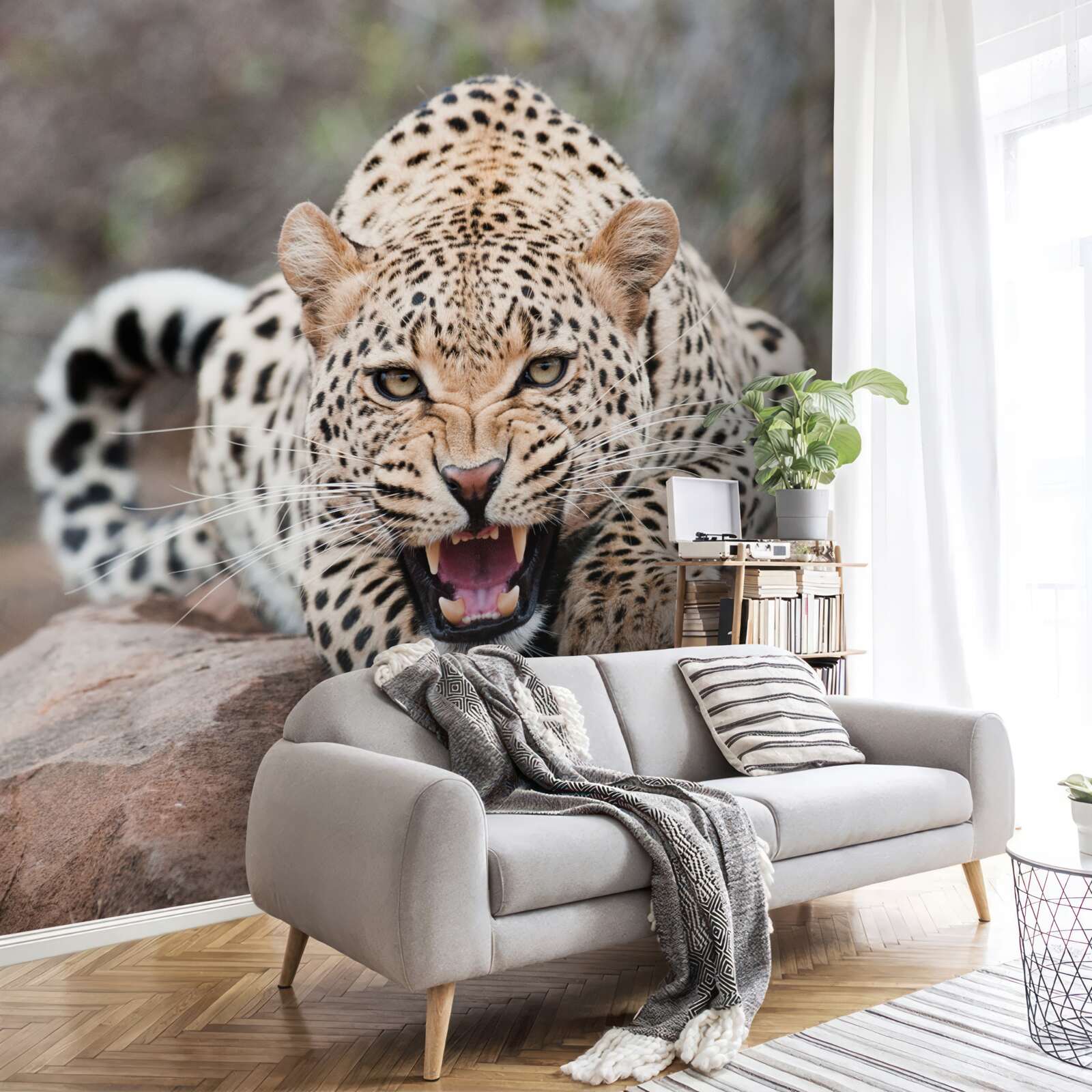 Fotobehang opgewonden luipaard maakt zich klaar om te springen