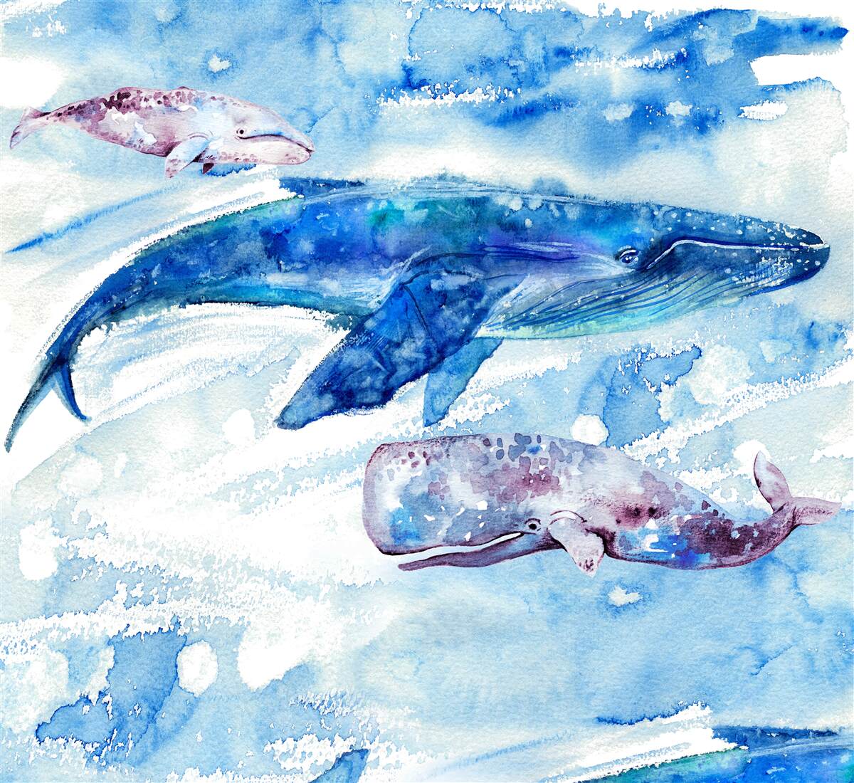 Fotobehang wateropname van blauwe vinvis