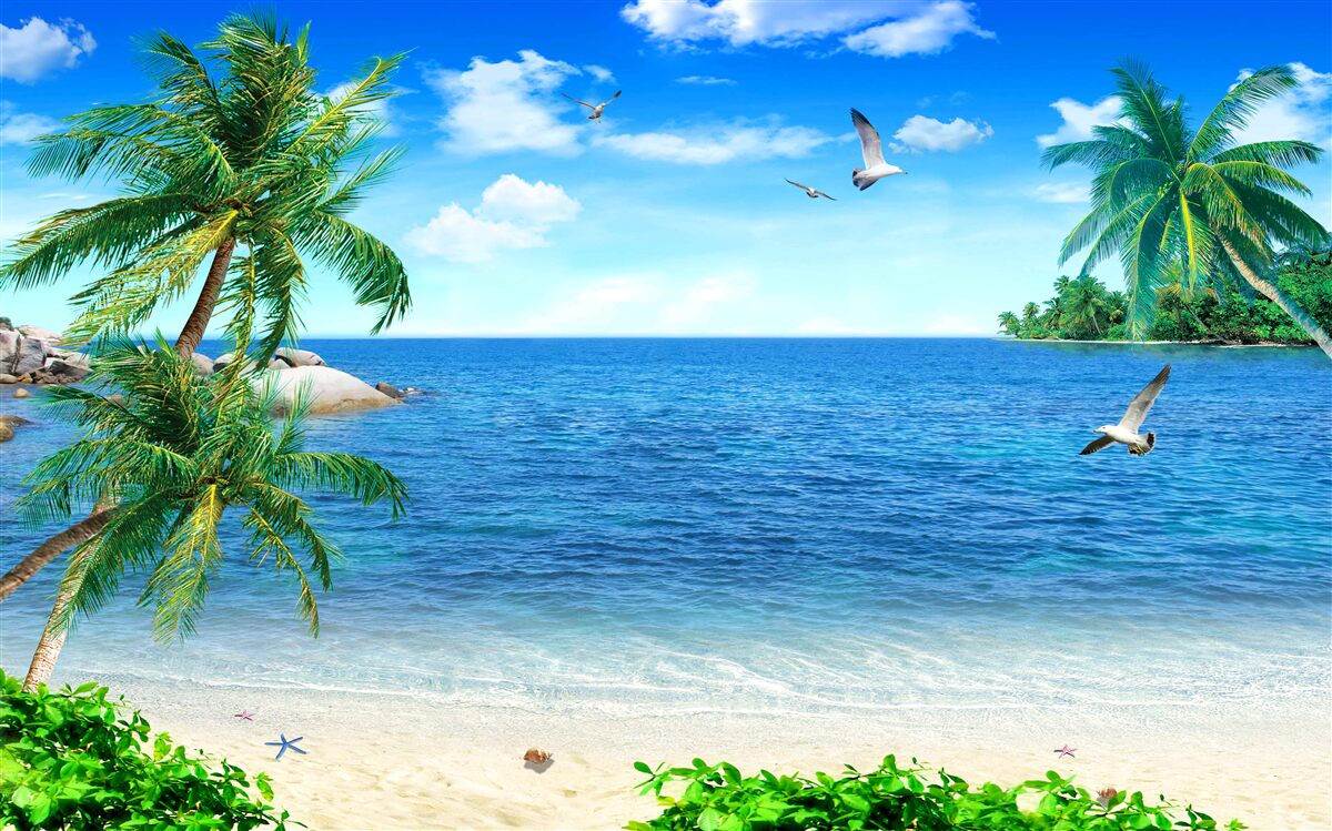 Fotobehang palmenkust in de tropische regio