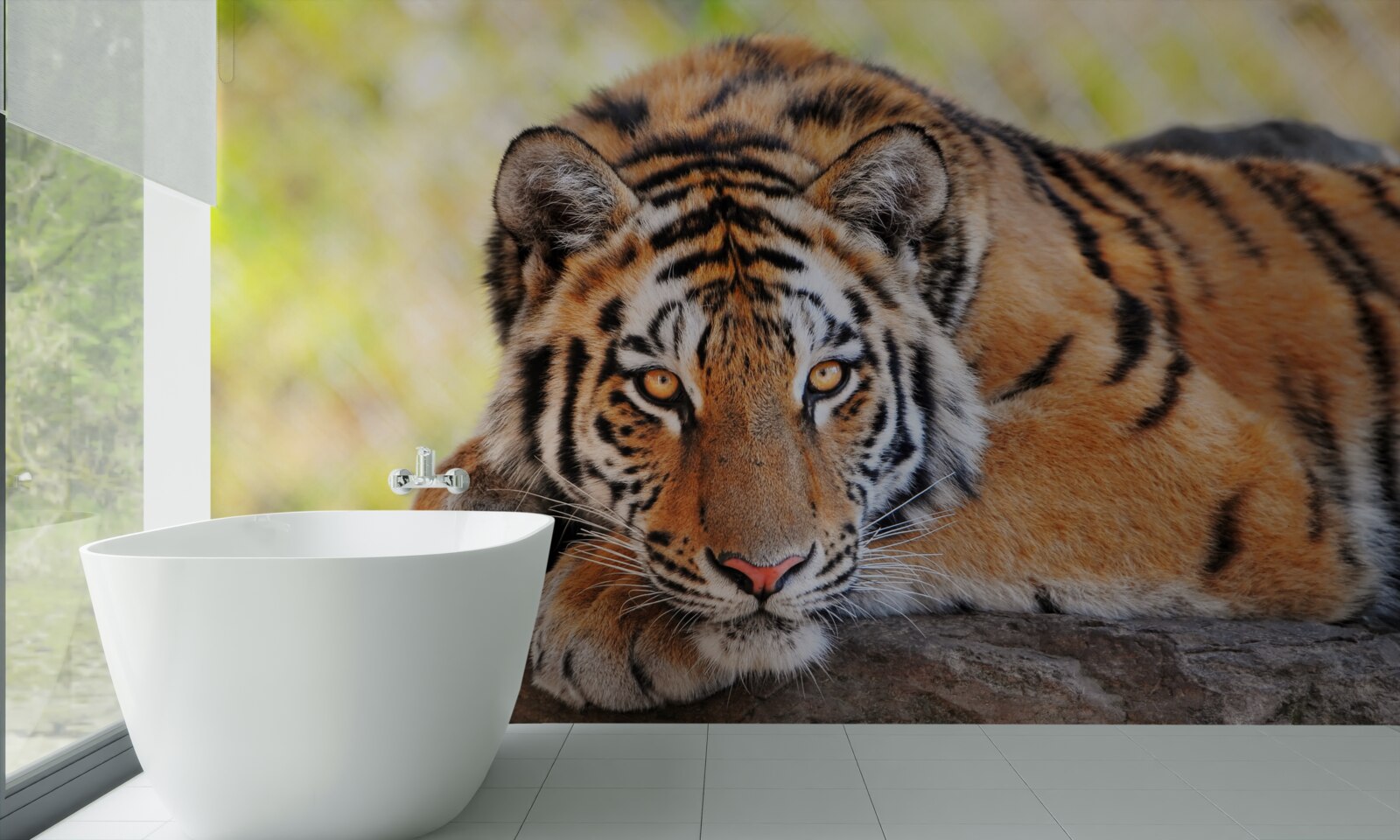 Fotobehang tijger roofdier in hinderlaag