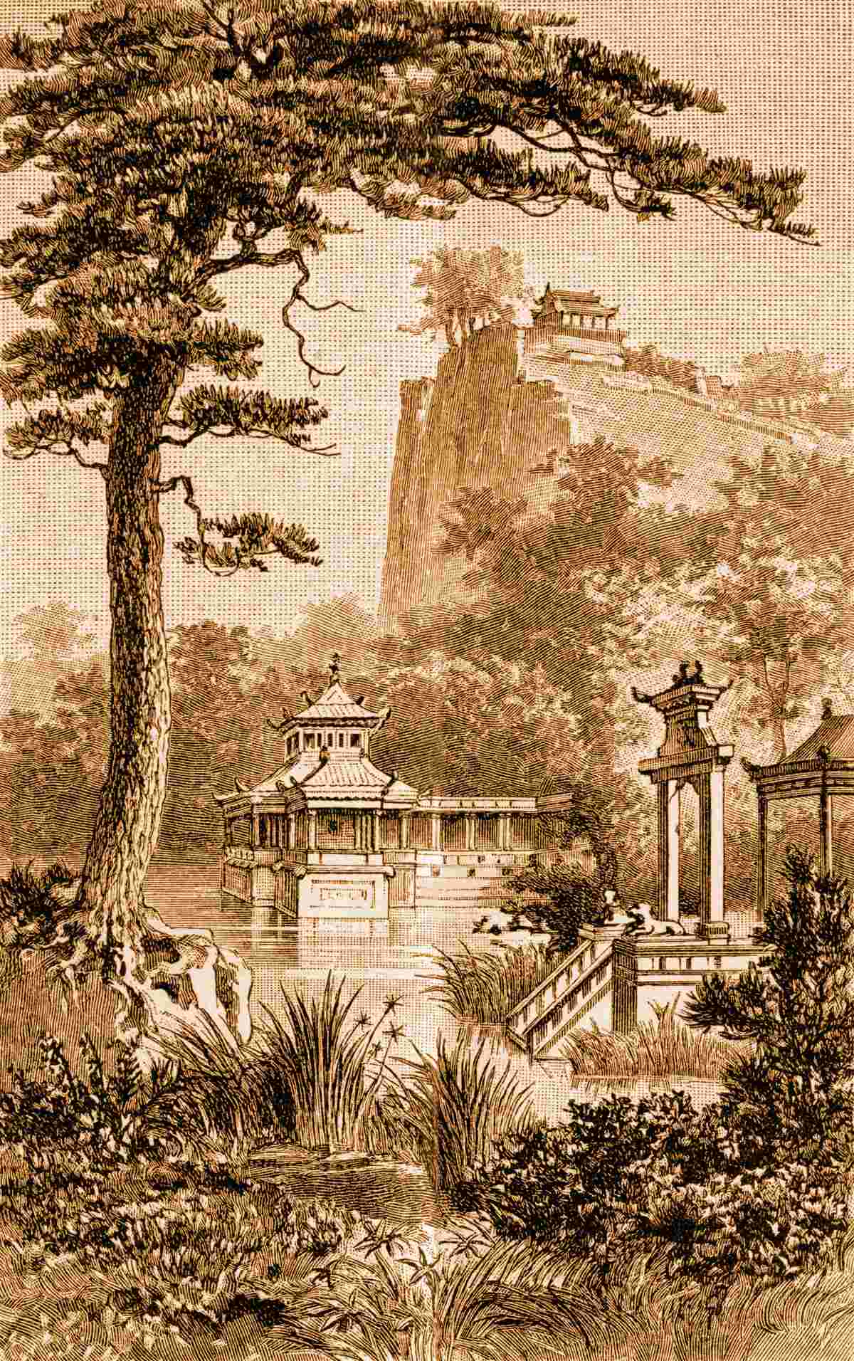 Fotobehang weelderige Chinese tuin