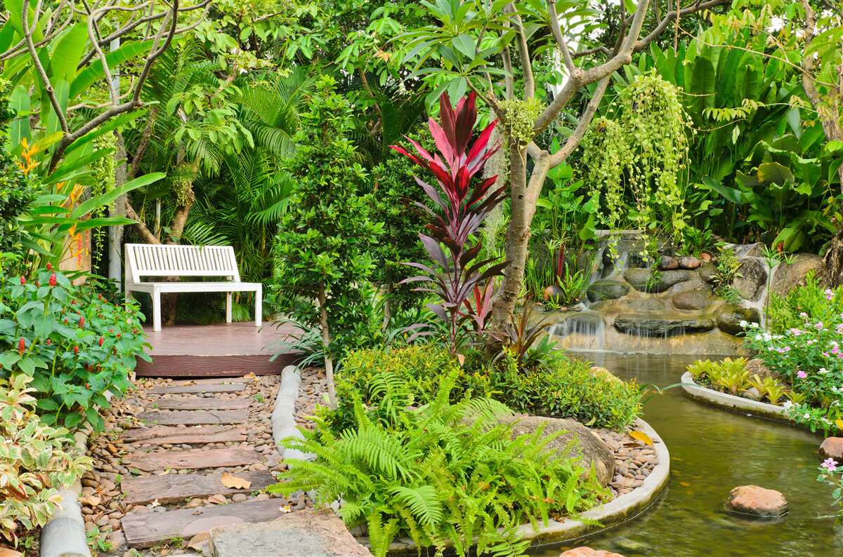 Fotobehang tropisch paradijs in een bebost gebied bij een vijver