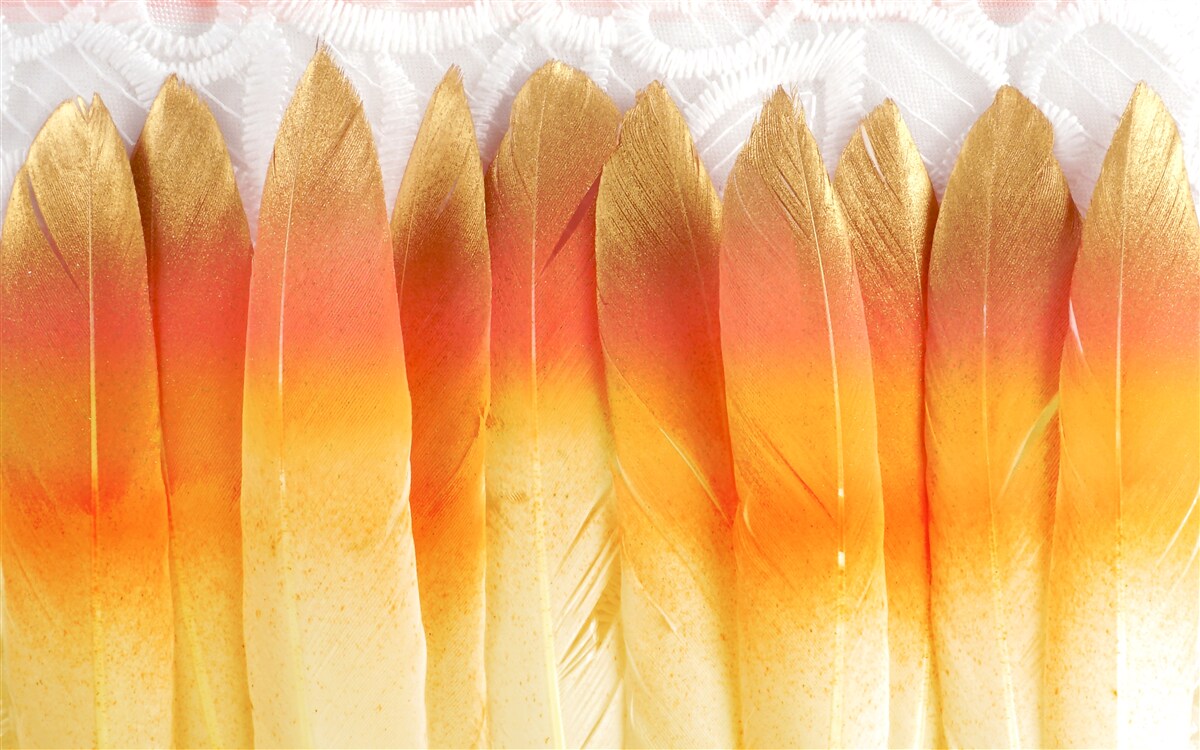 Fotobehang geel getinte veren tegen een achtergrond van dageraad