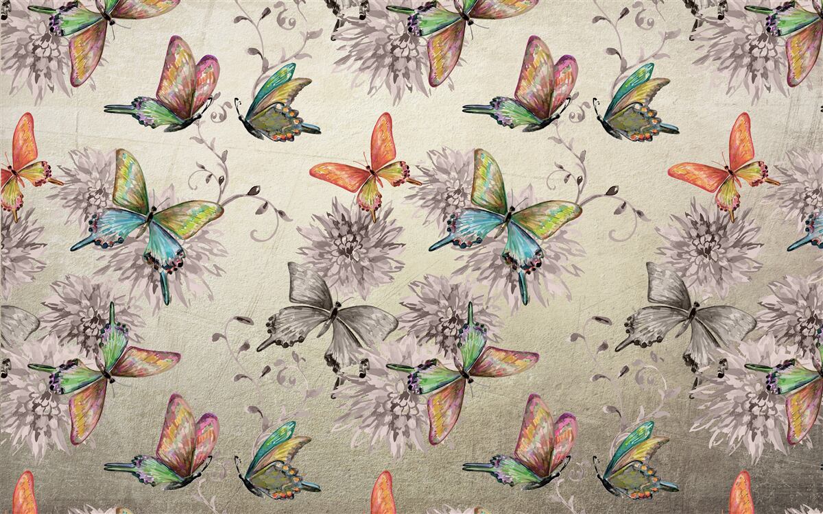 Fotobehang er zijn veel vlinders, allemaal in verschillende kleuren