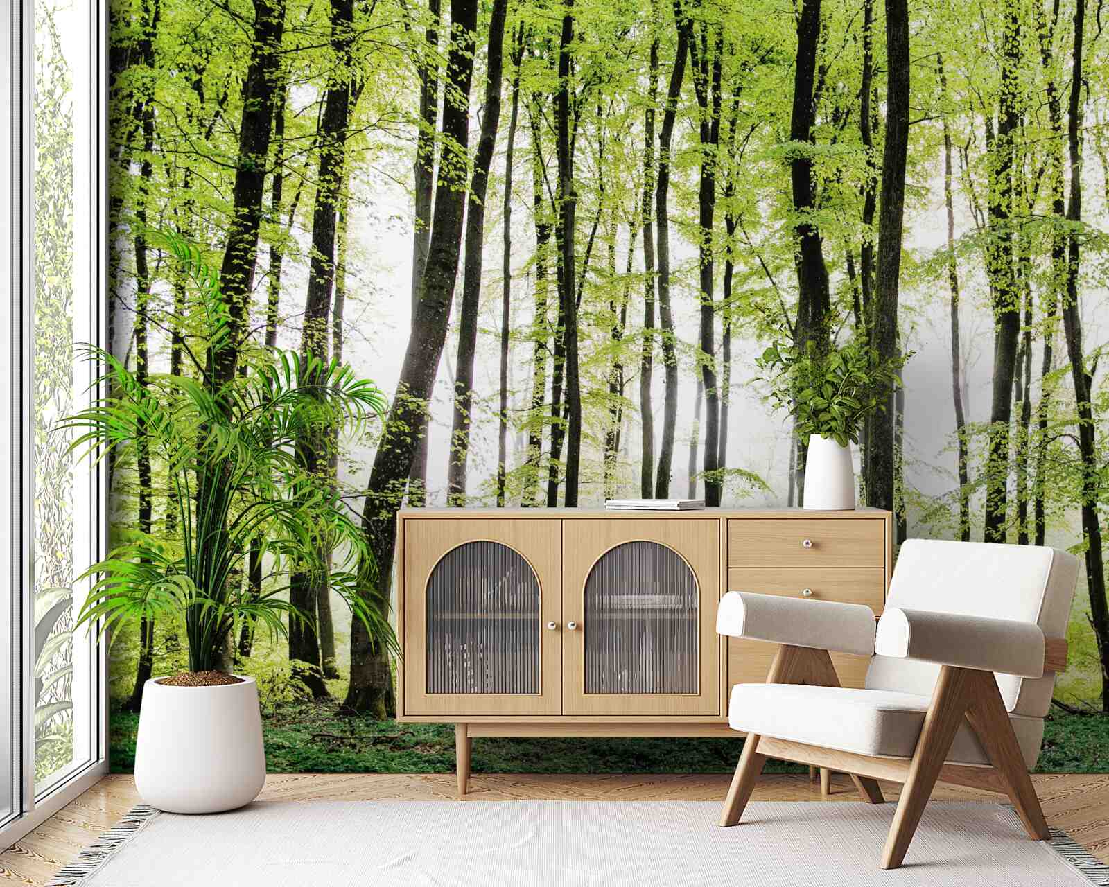 Fotobehang ochtendbomen die zich als slanke zuilen omhoog strekken