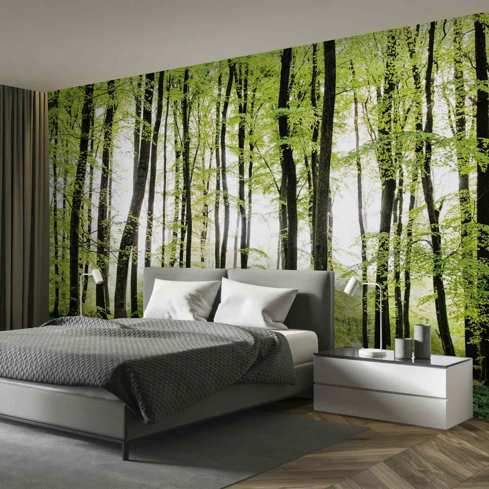 Fotobehang ochtendbomen die zich als slanke zuilen omhoog strekken