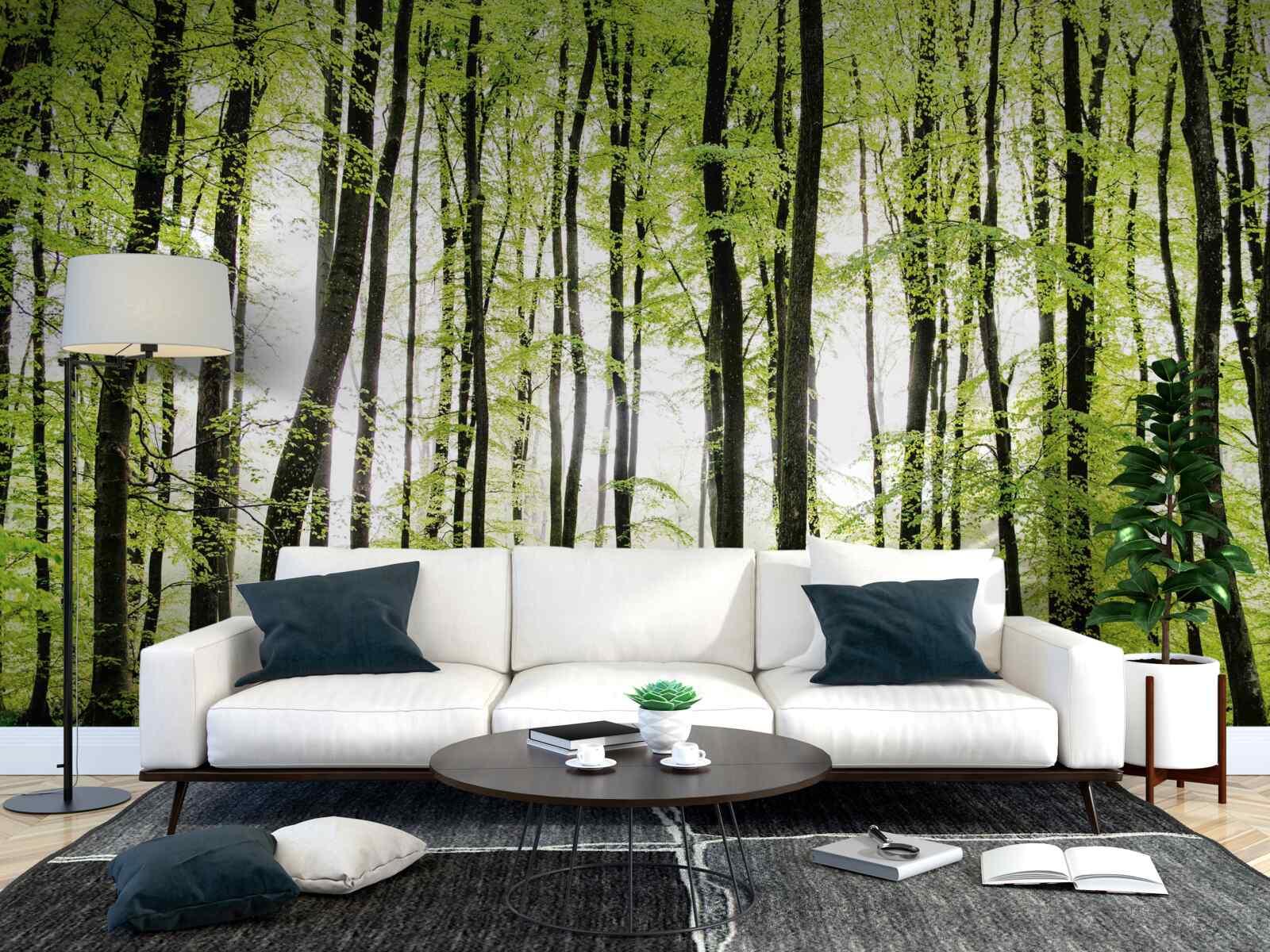 Fotobehang ochtendbomen die zich als slanke zuilen omhoog strekken