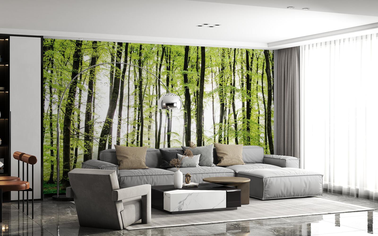 Fotobehang ochtendbomen die zich als slanke zuilen omhoog strekken