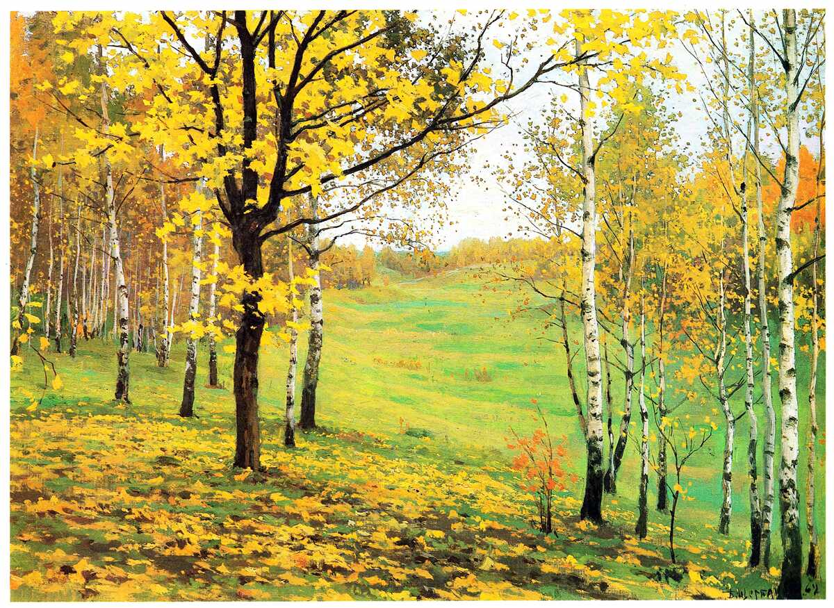 Fotobehang Het herfstbos is gehuld in verbazingwekkende tinten