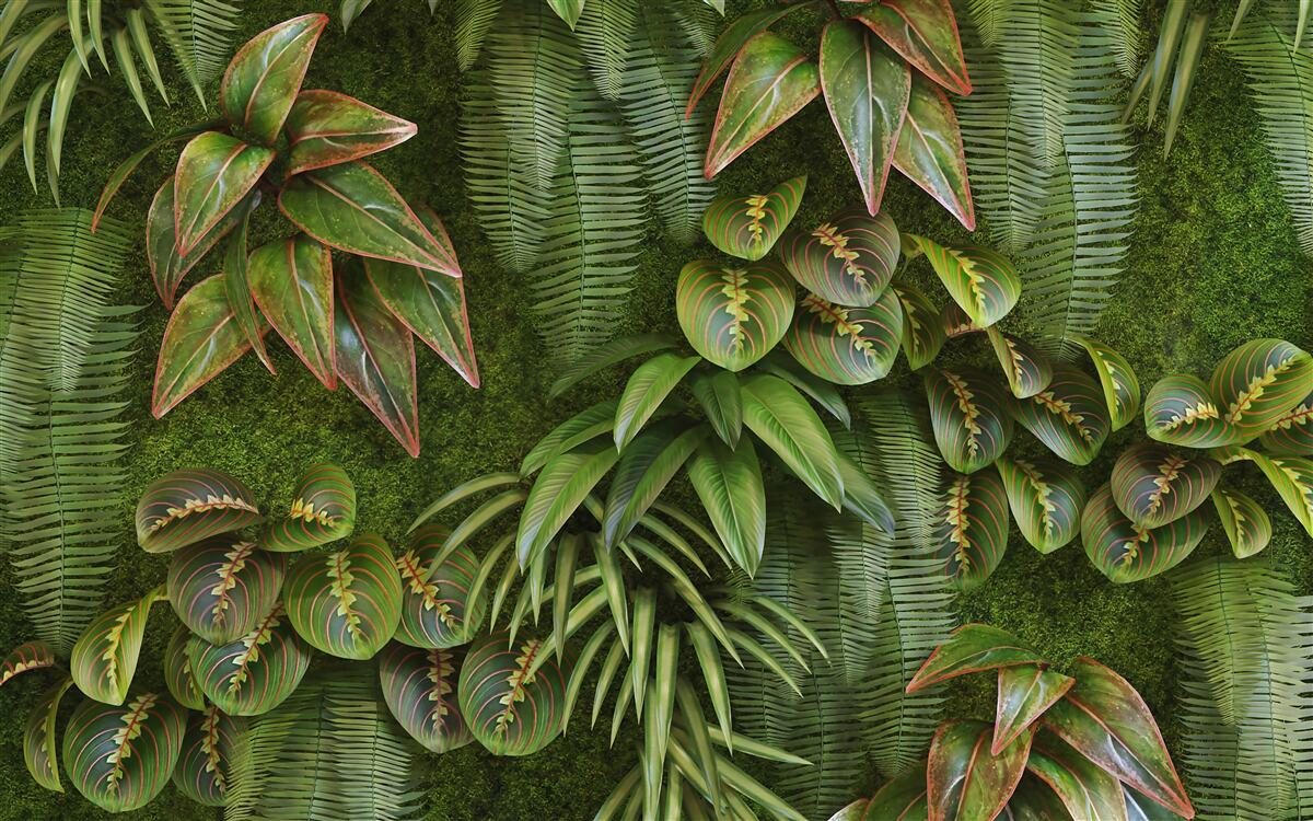 Fotobehang de bladeren van bananen en varens donkergroen zijn