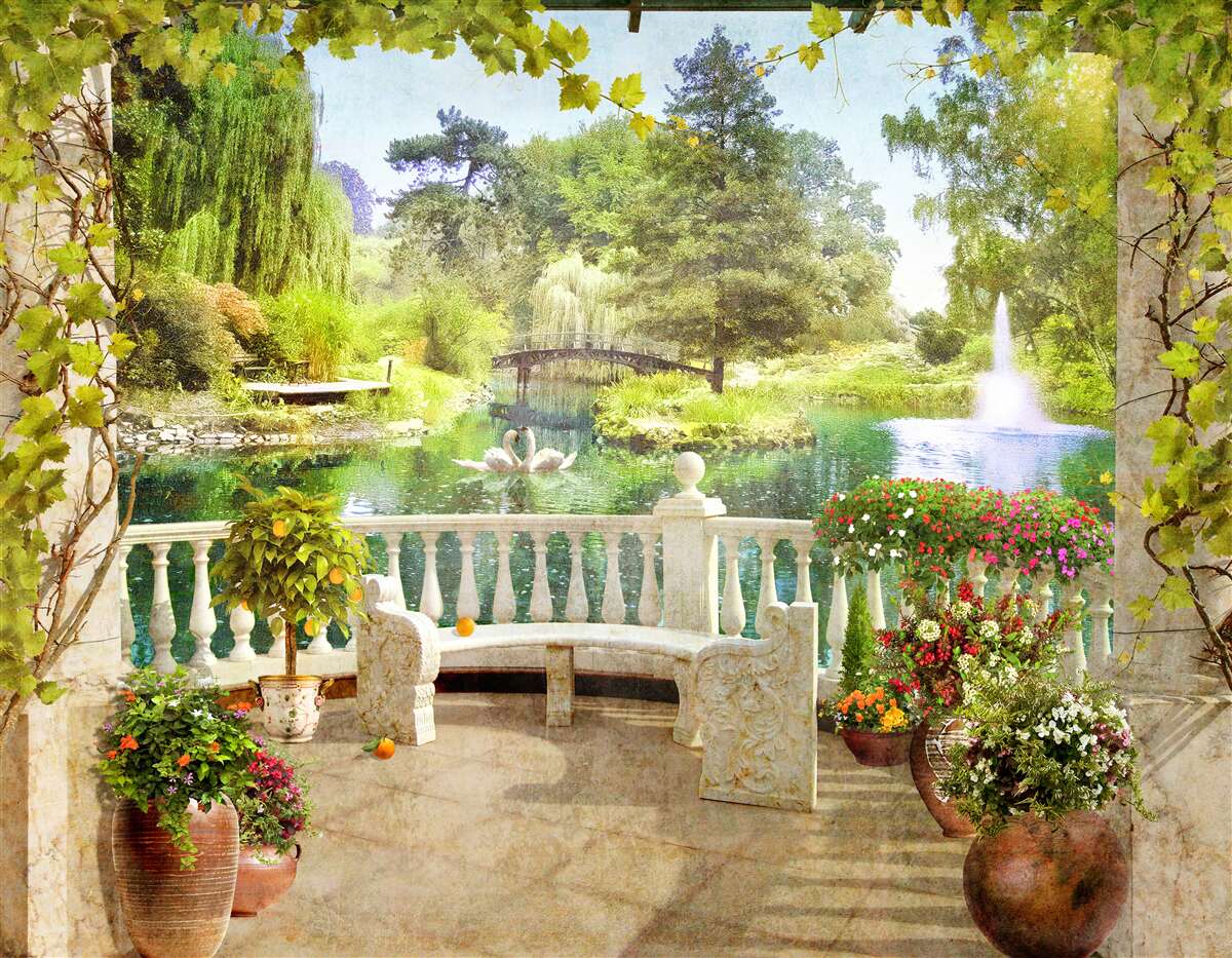 Fotobehang Zwanen bij het meer op het terras