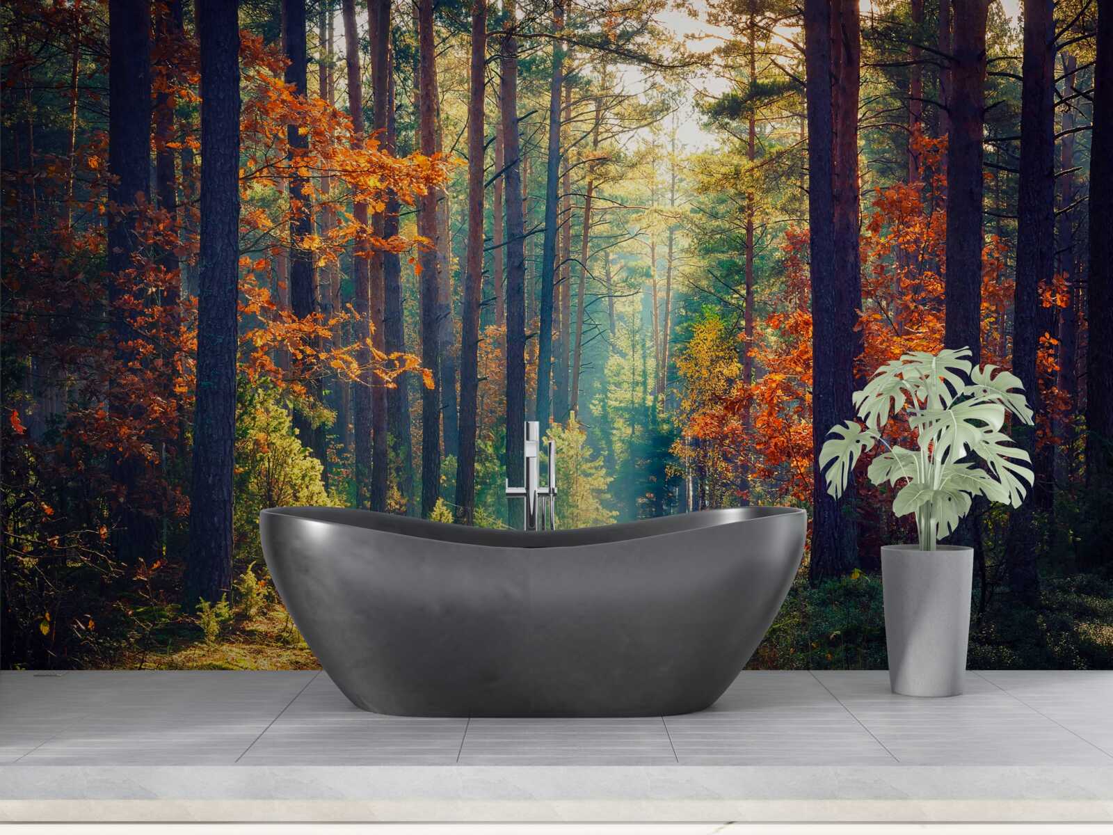 Fotobehang Een zonnestraal in een herfstbos