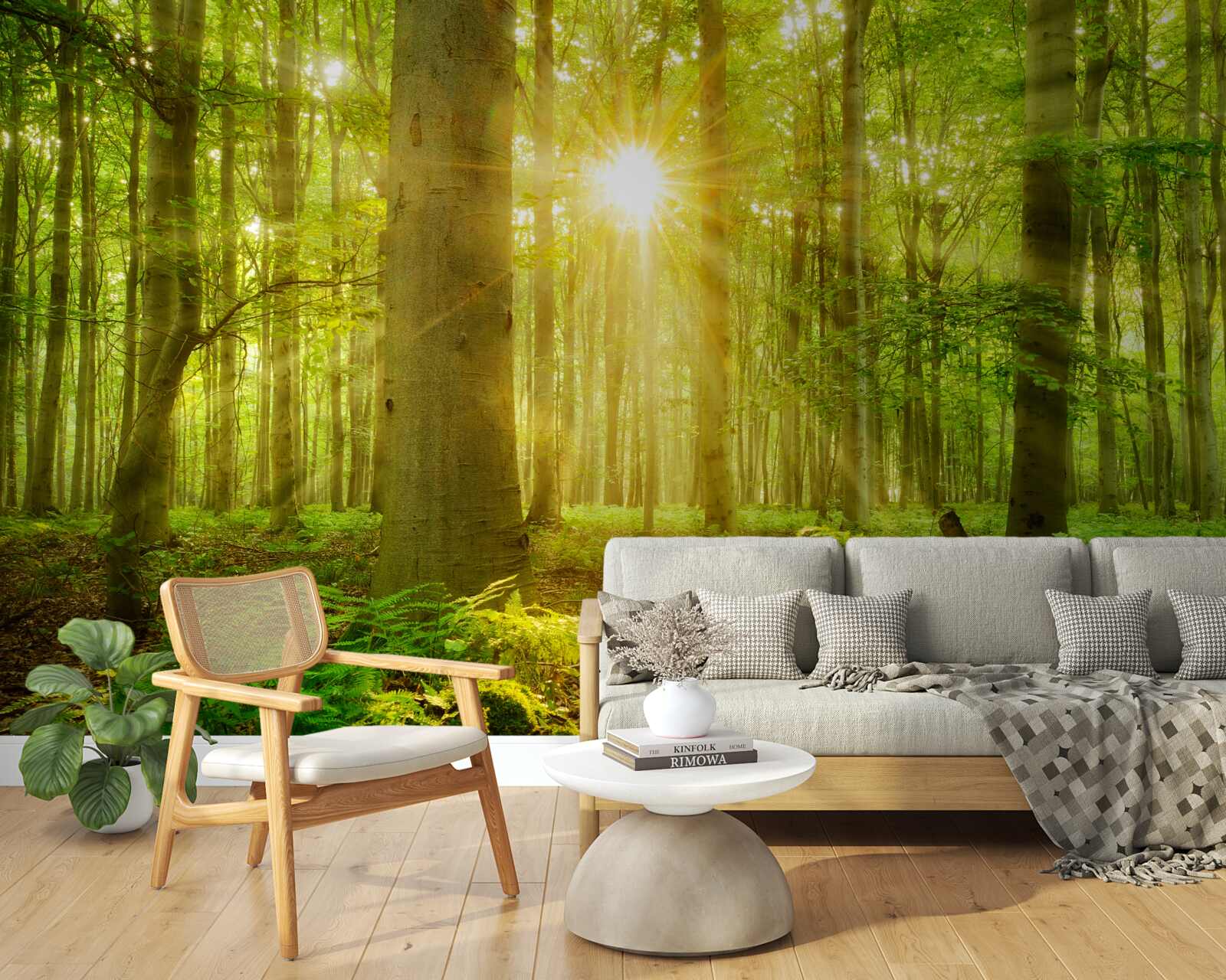 Fotobehang het bos komt tot leven in de ochtendzon