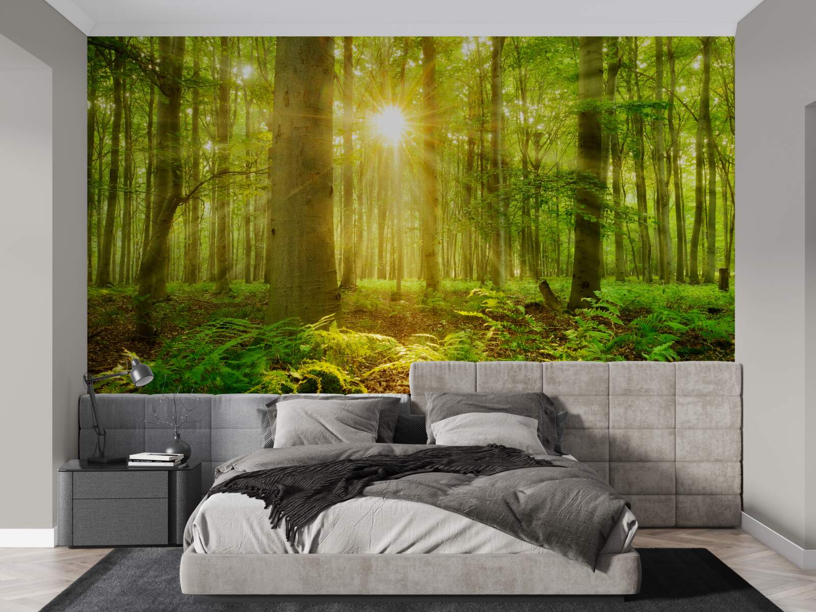 Fotobehang het bos komt tot leven in de ochtendzon