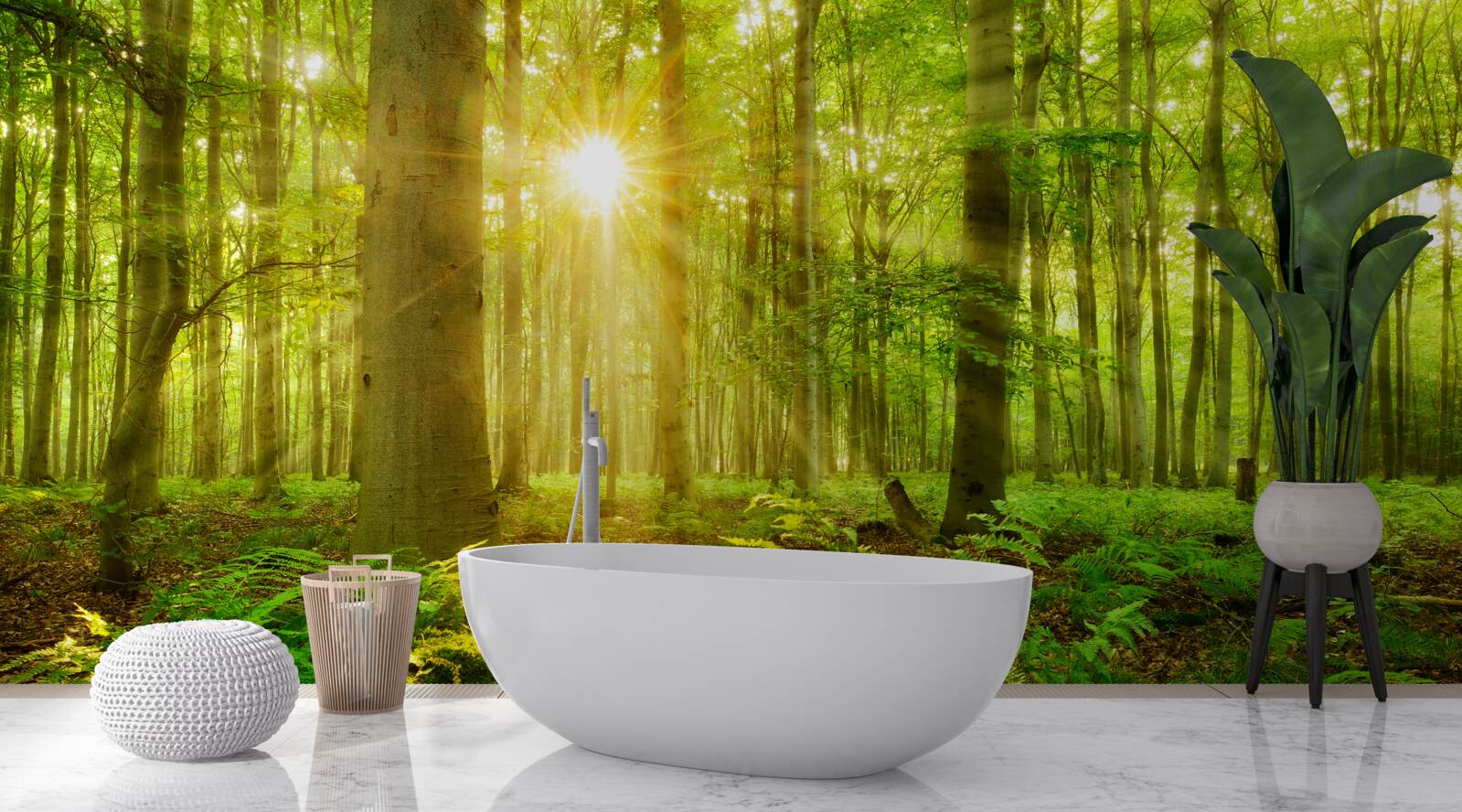 Fotobehang het bos komt tot leven in de ochtendzon