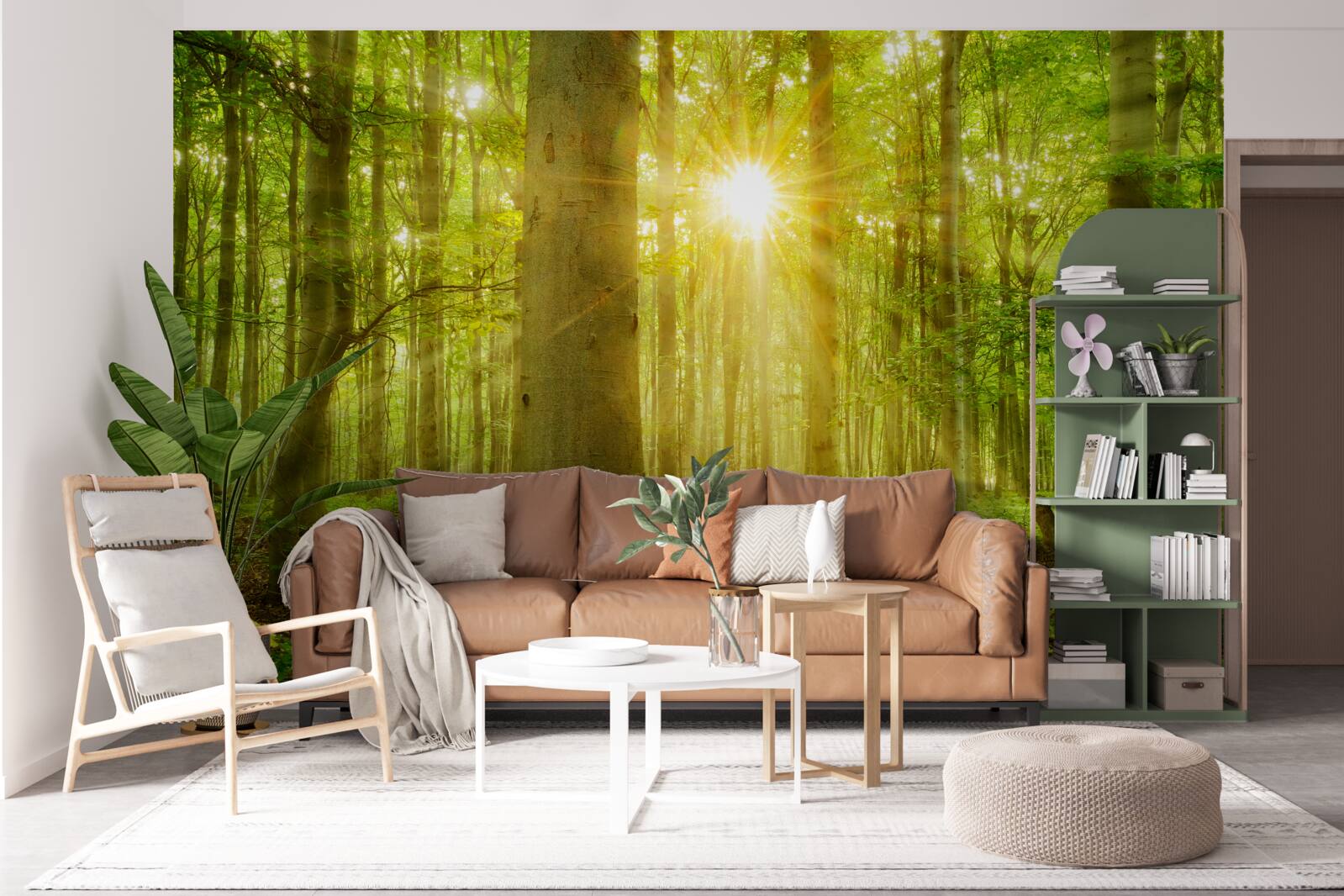 Fotobehang het bos komt tot leven in de ochtendzon