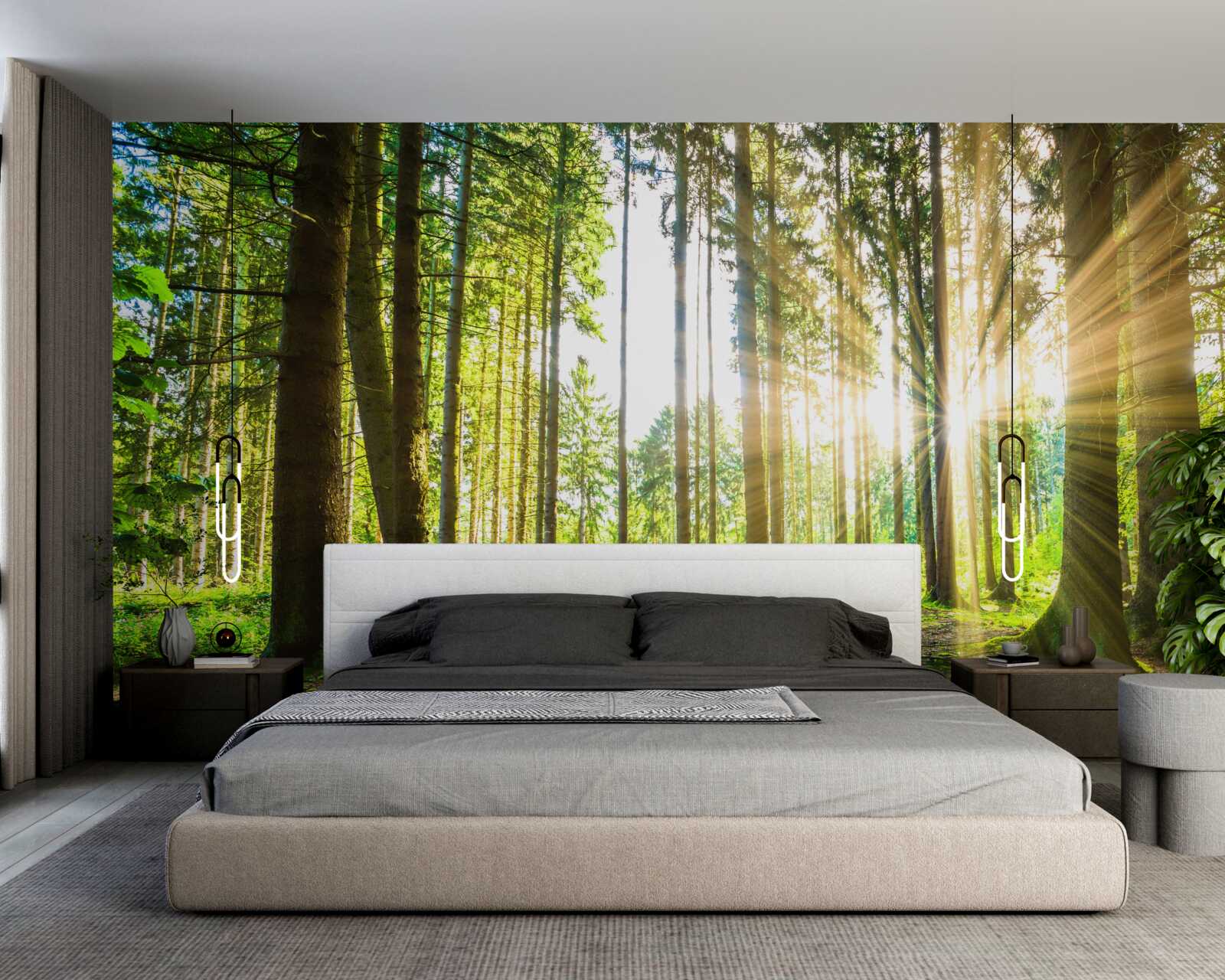 Fotobehang de zonnestralen dringen door tussen de hoge bomen