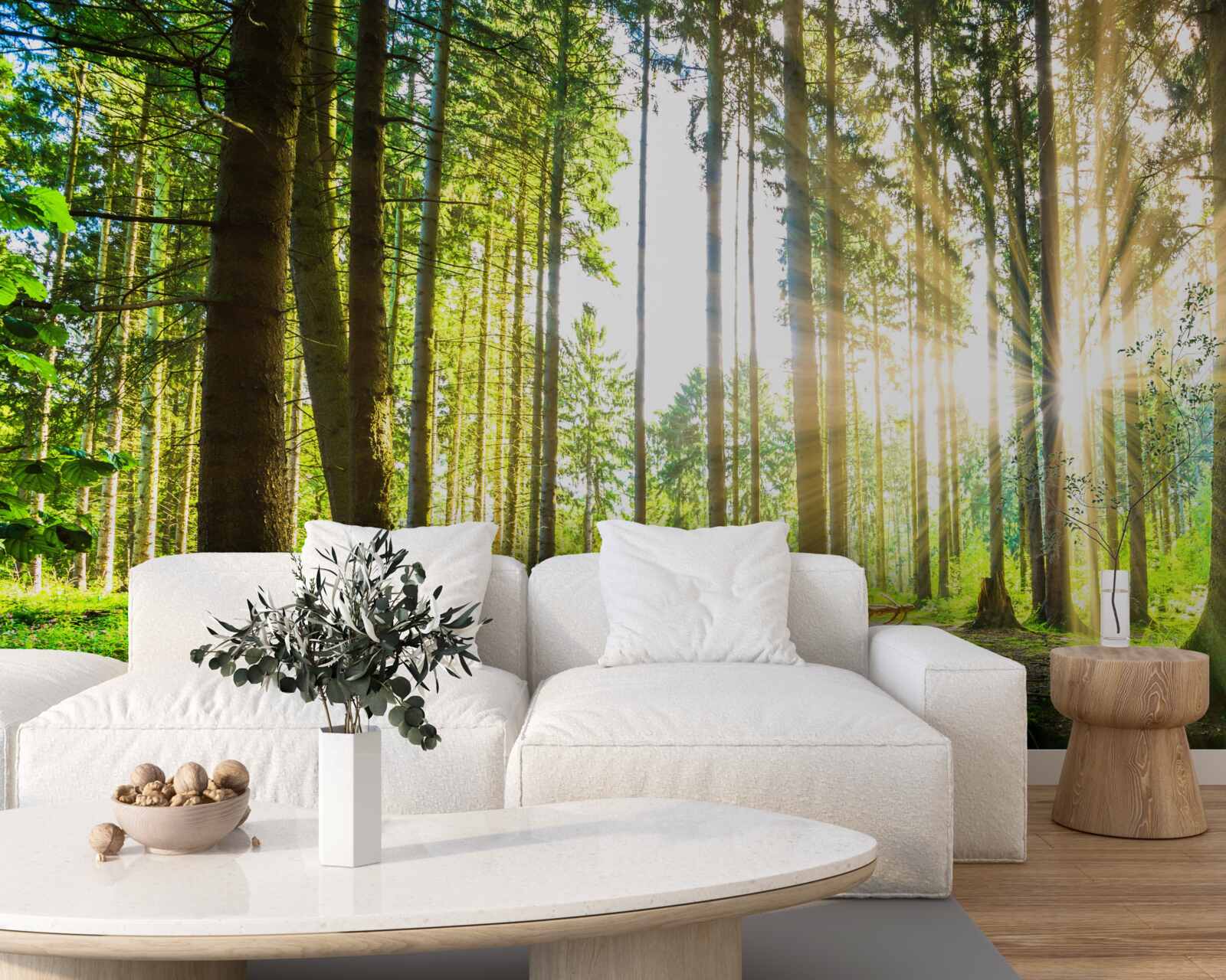 Fotobehang de zonnestralen dringen door tussen de hoge bomen