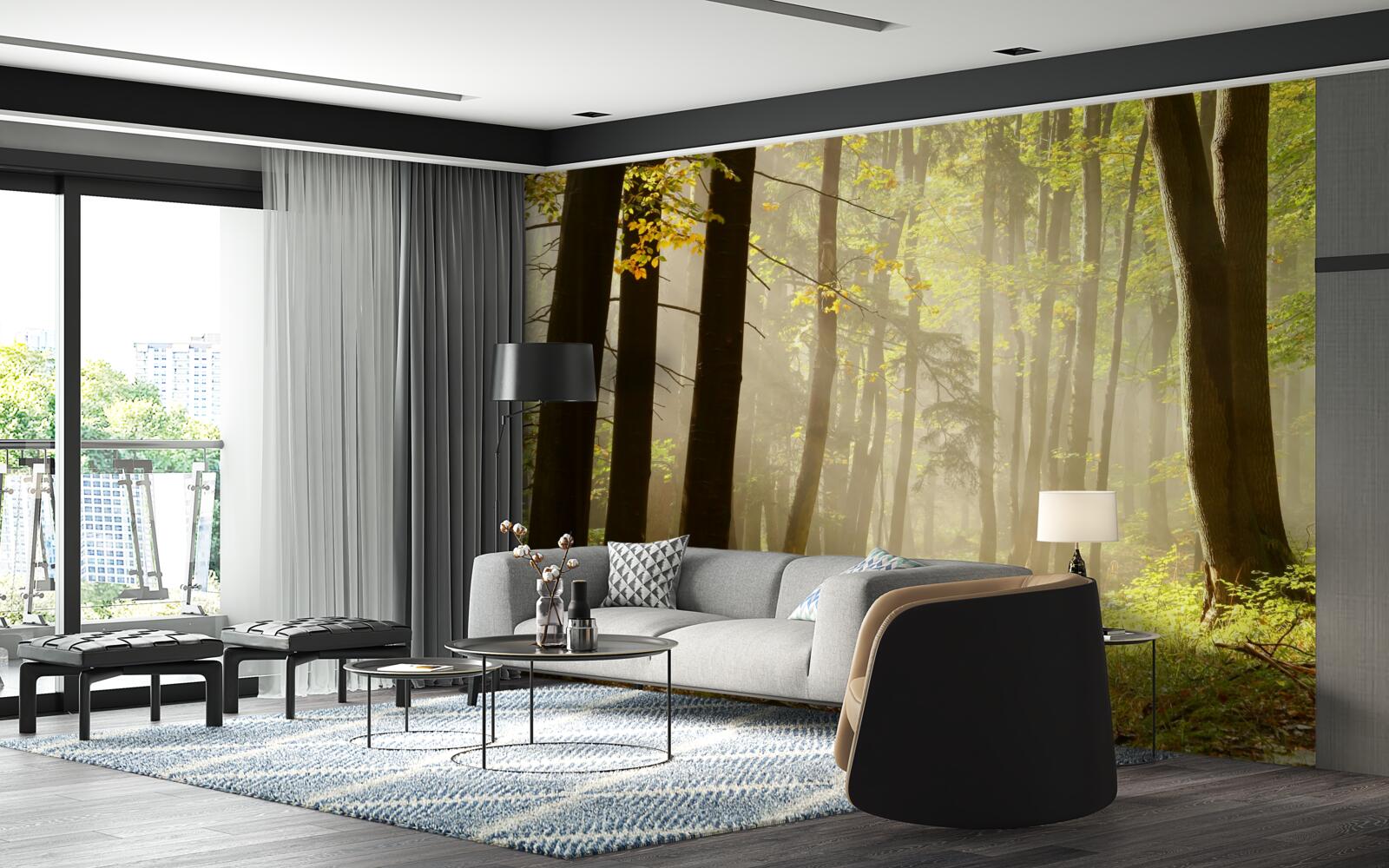 Fotobehang stralen van de ochtendzon doorboren de mist in de woestijn