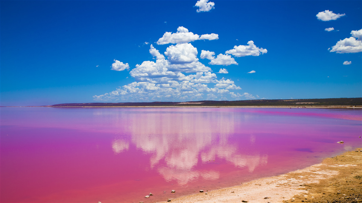 Fotobehang hutt lagoon met roze water