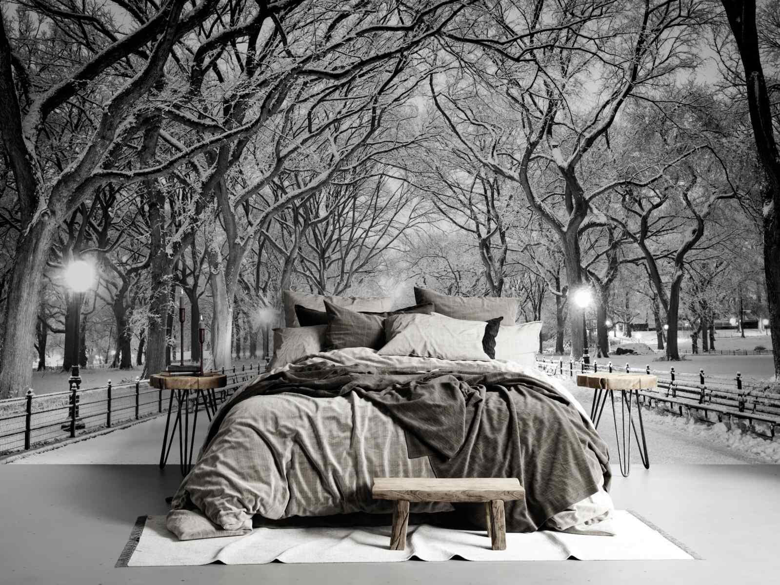 Fotobehang Besneeuwd pad tussen de bomen