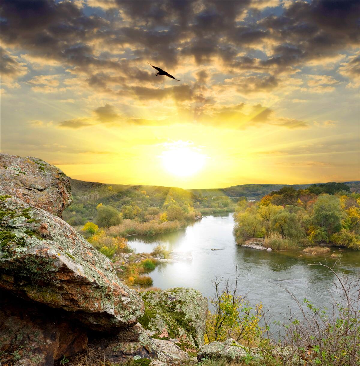 Fotobehang de herfstzon verandert in een koele zonsondergang