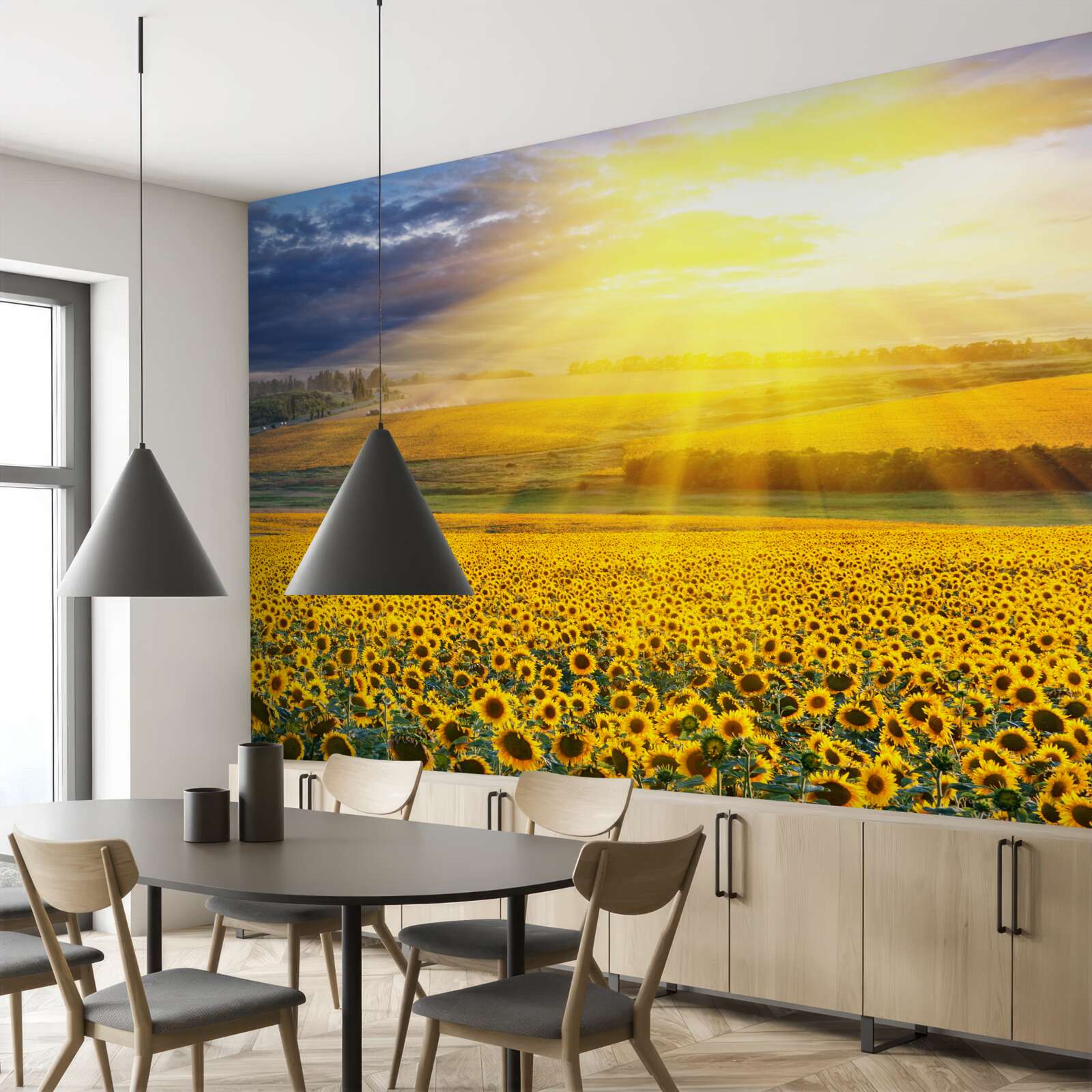 Fotobehang de zon staat vol helderheid boven een veld met weelderige zonnebloemen