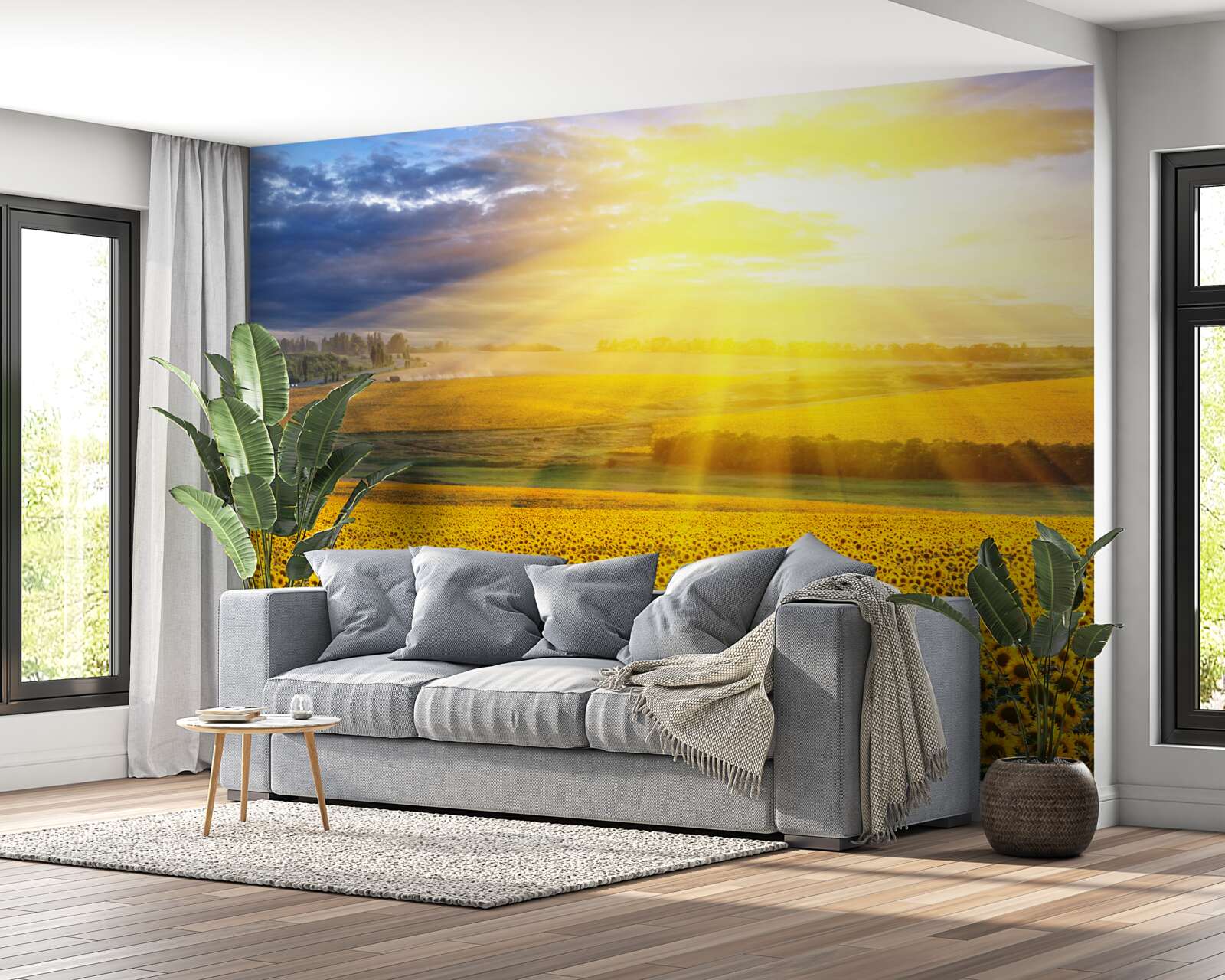 Fotobehang de zon staat vol helderheid boven een veld met weelderige zonnebloemen