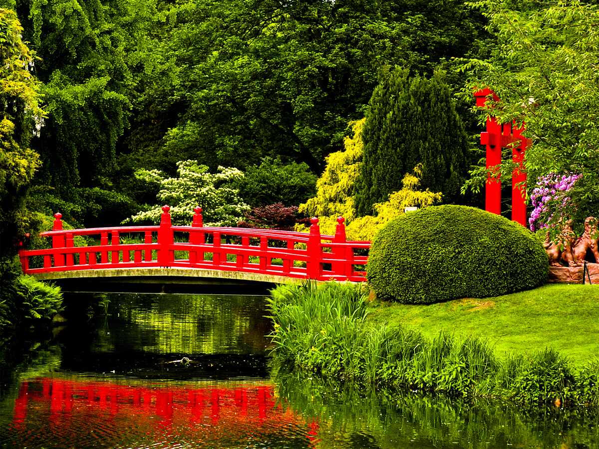 Fotobehang rode brug in de japanse tuin