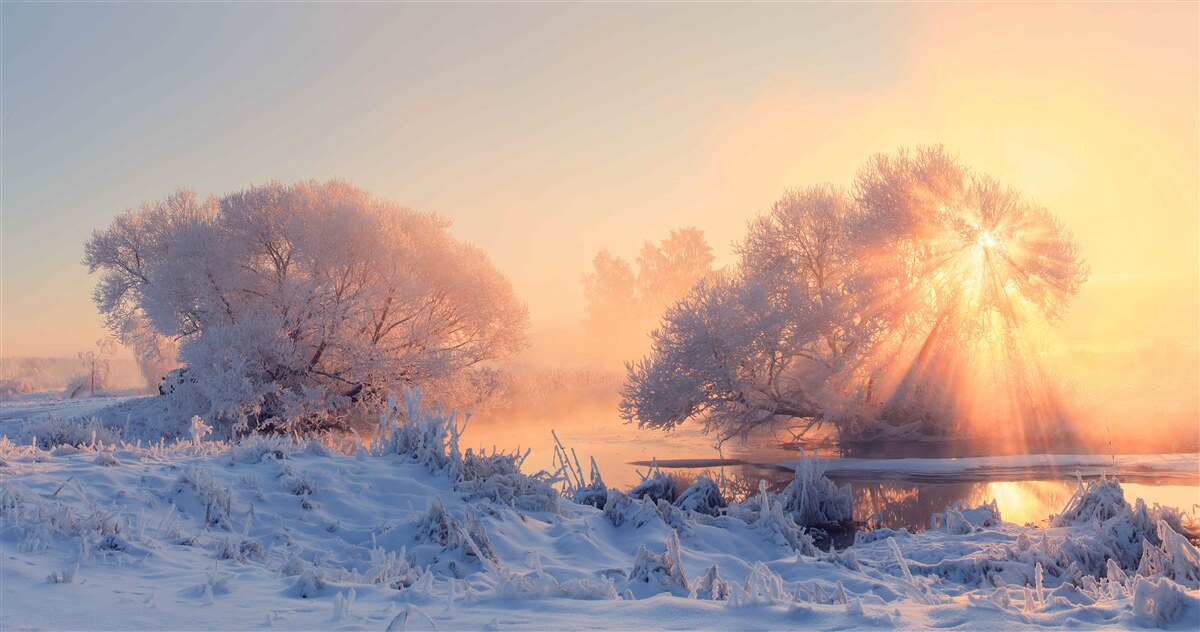 Fotobehang winterochtend in de kou