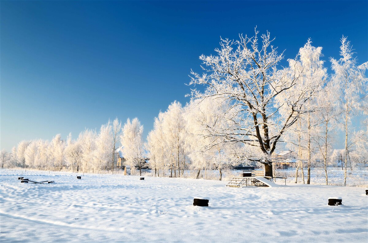 Fotobehang sprookjesachtige winter tegen een achtergrond van azuurblauwe lucht