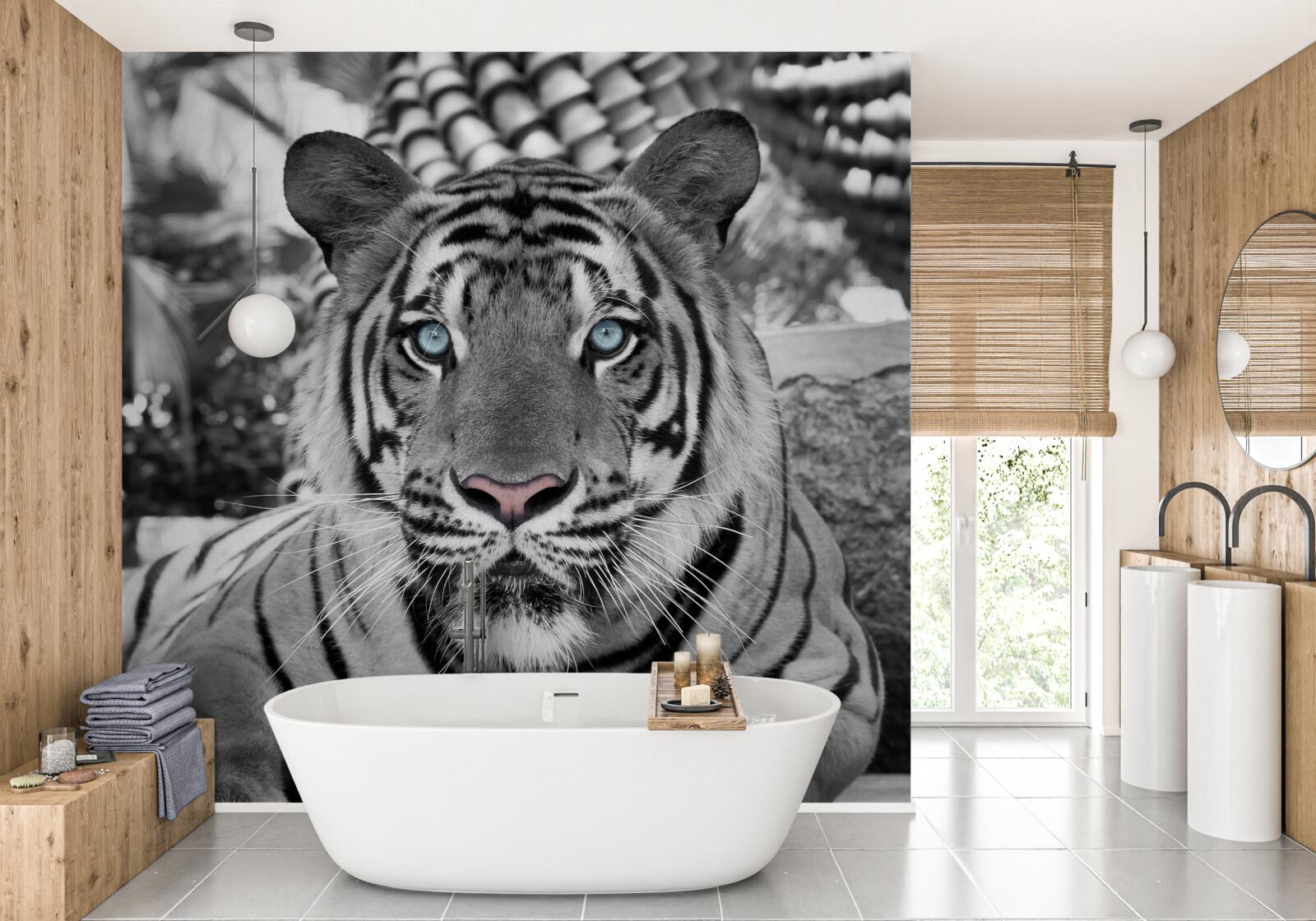 Fotobehang zwart-witte tijger met prachtige blauwe ogen
