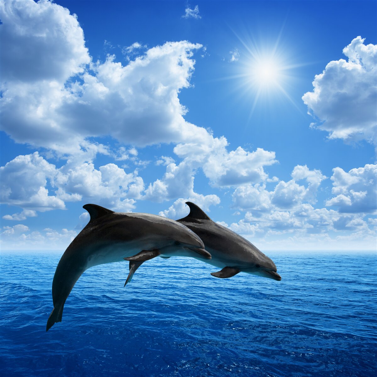 Fotobehang sorry, maar "a92785" is geen volledige zin of zin of parafrase. geef een volledige zin zodat ik je beter kan helpen.