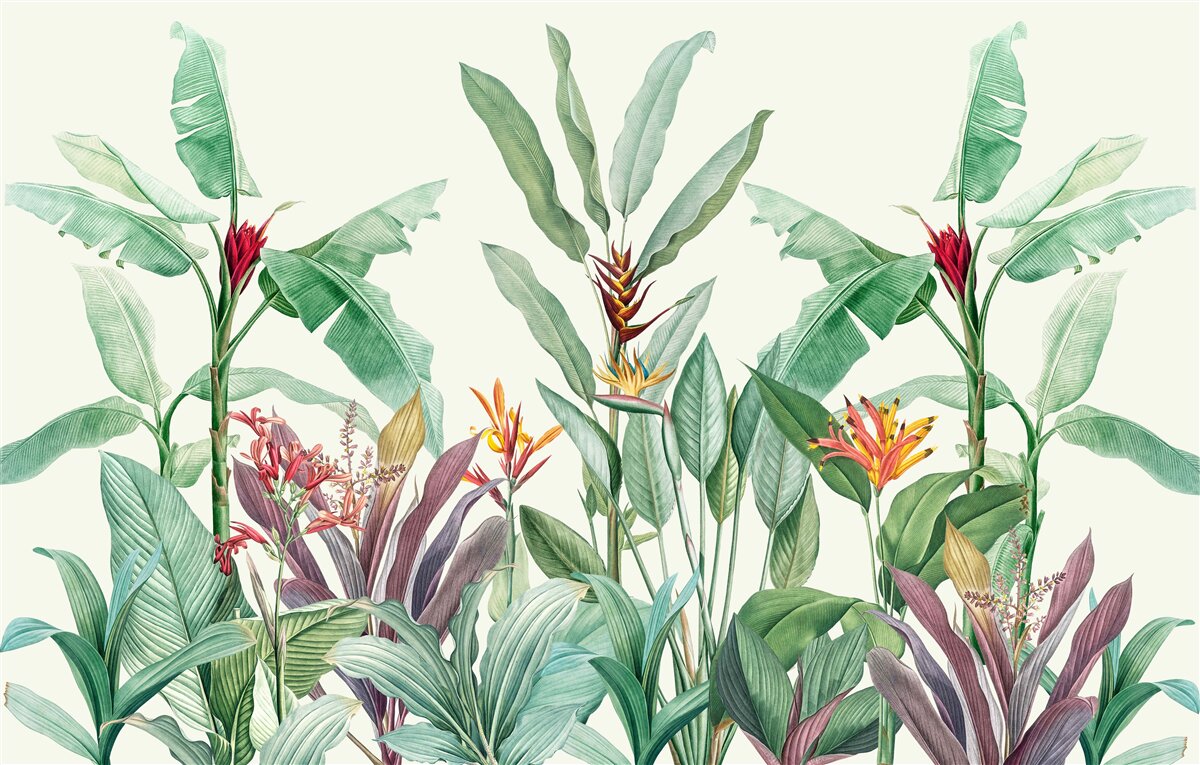 Fotobehang tropische groene bladeren